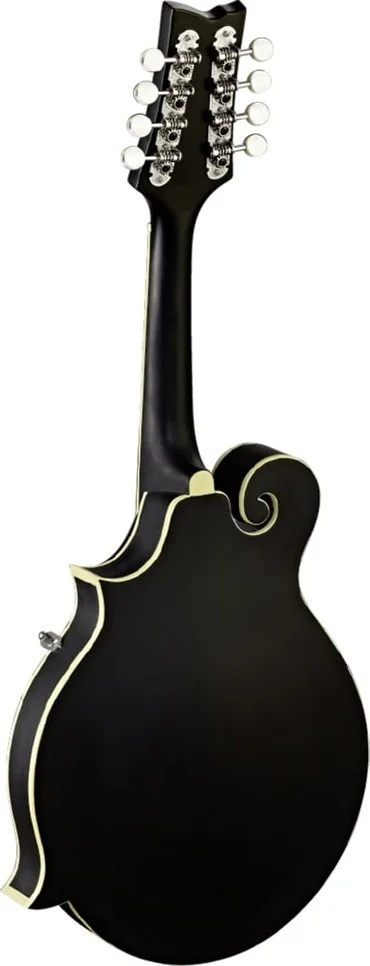 ماندولین ارتعا سری 40 مدل F با پیکاپ پیزو، پرداخت مشکی ساتن | RMFE40SBK