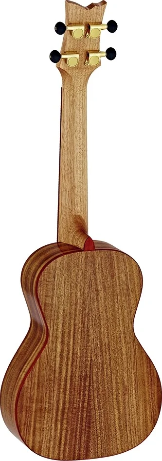 یوکللی کنسرت اورتگا آکاسیا، پشت و صفحه رو آکاسیا به همراه کیف مخصوص مدل RUACA-CC