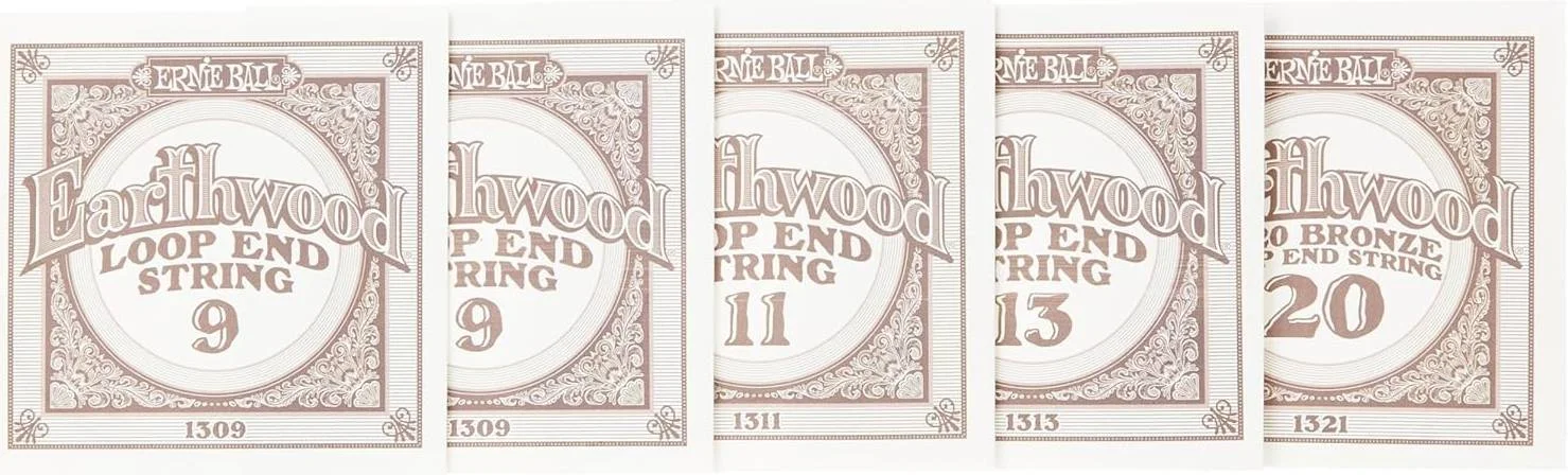 سیم بانجو 5 سیم ارنی بال Earthwood، آلیاژ برنز 80/20، مدل Bluegrass Loop End، ضخامت 009 - 020