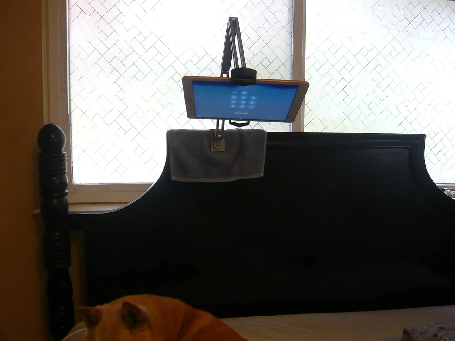 پایه نگهدارنده تبلت با قابلیت چرخش 360 درجه، سازگار با آیپد پرو 12.9 اینچی، آیپد ایر، آیپد مینی، تبلت ها، طول 36 اینچ. قابلیت تنظیم در هر زاویه (میله فلزی مشکی)