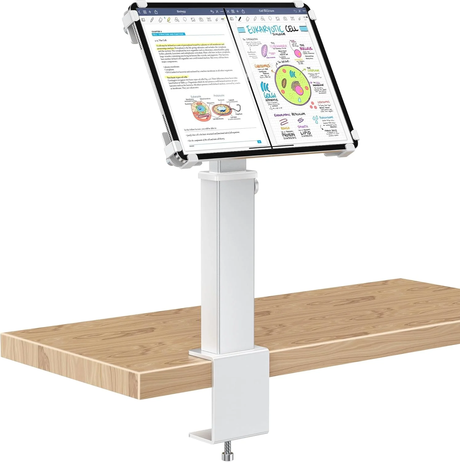 پایه گیره ای رومیزی آیپد AboveTEK، نگهدارنده تبلت قابل تنظیم با چرخش 360 درجه و شیب 180 درجه، مناسب برای تبلت های 9.7 تا 13 اینچی، پایه رومیزی تبلت آلومینیومی سنگین، ایده آل برای کار