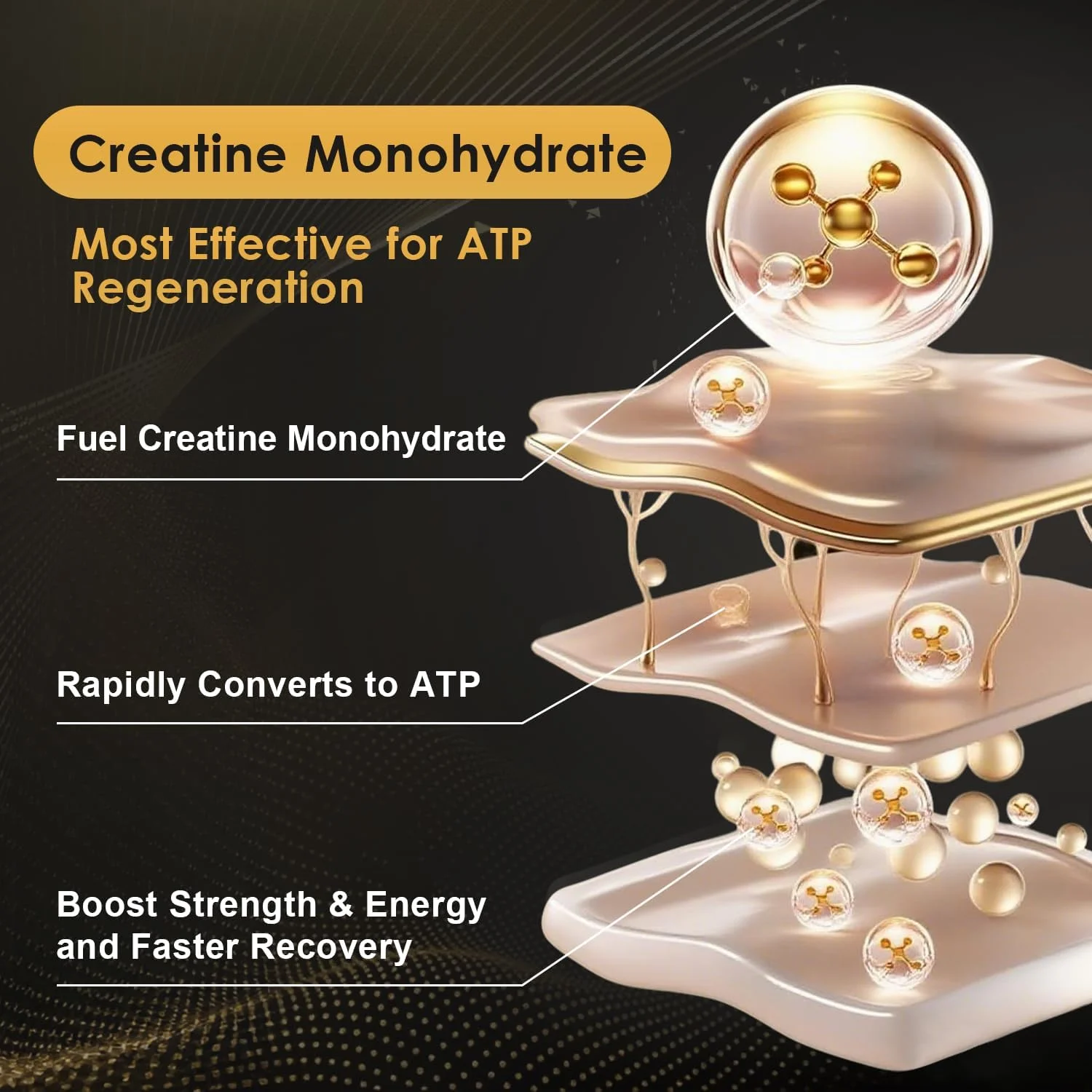 کراتین مونوهیدرات میکرونیزه برای زنان و مردان، پودر کراتین برای مردان و زنان برای بهبود عملکرد و قدرت، پشتیبانی از رشد عضلات و ریکاوری تمرین، 6.5 گرم در هر وعده، 75 وعده