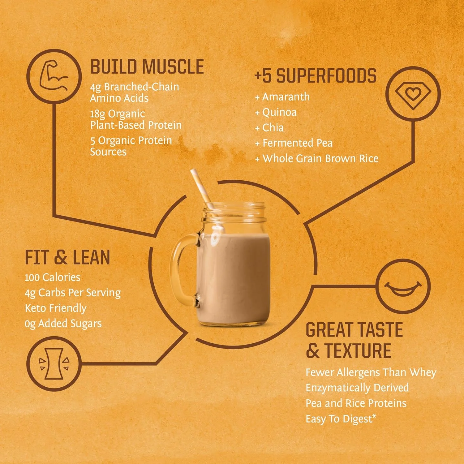پودر پروتئین وگان خالص با طعم وانیل | فرمول پروتئین گیاهی ارگانیک با مخلوط 5 سوپرفود جوانه زده و تخمیر شده | بدون GMO، کم کربوهیدرات، بدون سویا، لبنیات و گلوتن (وانیل، 30 سروینگ)