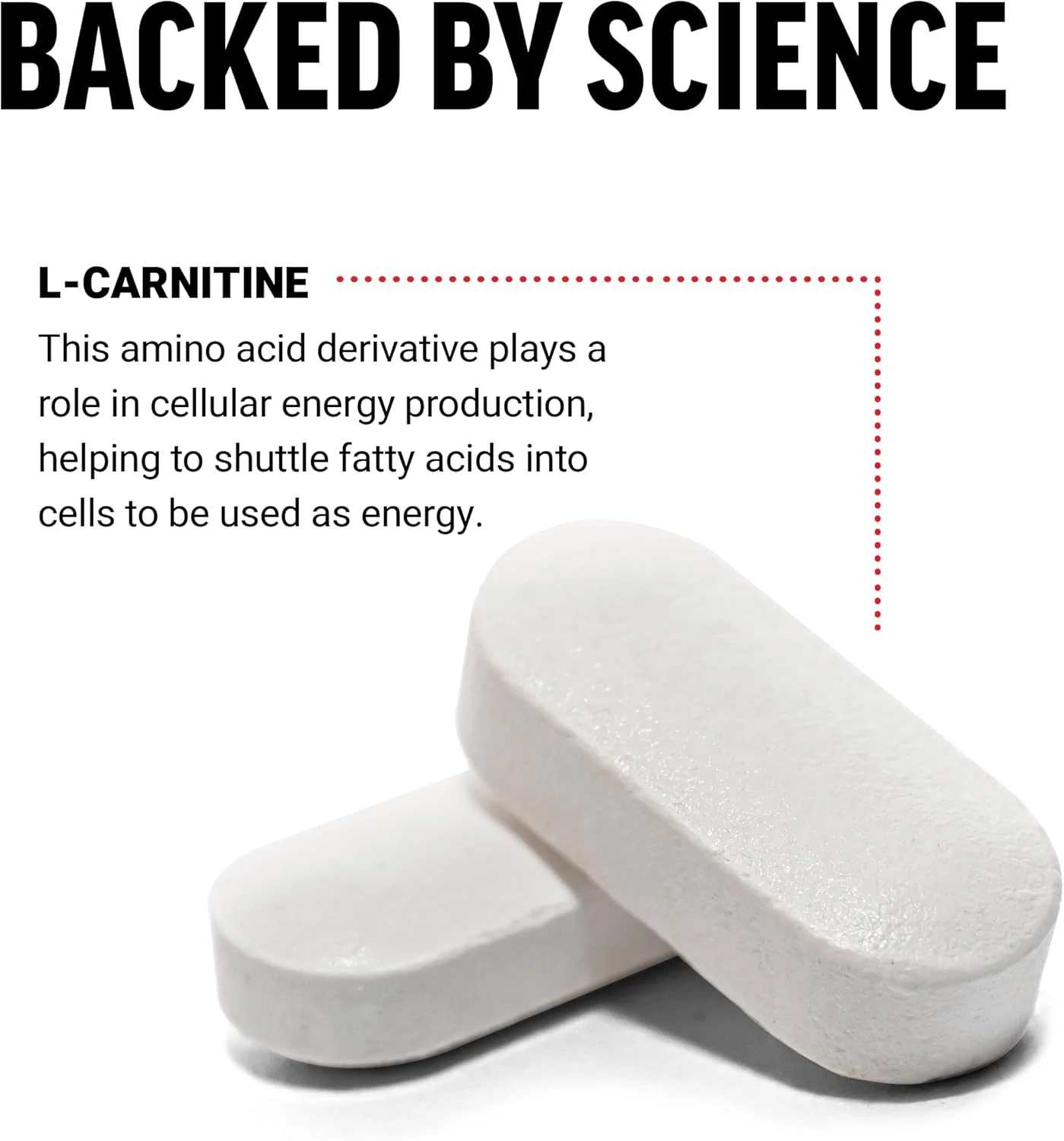 مکمل ال-کارنیتین فورس فکتور، کپسول های ال کارنیتین تارتارات 1000 میلی گرمی برای تبدیل چربی به انرژی، پشتیبانی از ریکاوری عضلات و افزایش عملکرد ورزشی، وگان، غیر GMO، 90 قرص مکمل ال-کارنیتین فورس فکتور، کپسول های ال کارنیتین تارتارات 1000 میلی گرمی برای تبدیل چربی به انرژی، پشتیبانی از ریکاوری عضلات و افزایش عملکرد ورزشی، وگان، غیر GMO، 90 قرص