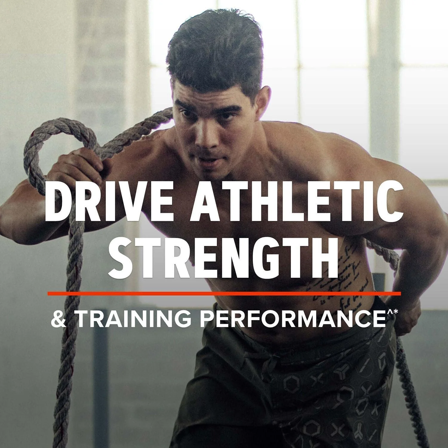 پروتئین ایزوله خالص GNC AMP - کیک شکلاتی مذاب (28 سروینگ) پروتئین ایزوله خالص GNC AMP - کیک شکلاتی مذاب (28 سروینگ)