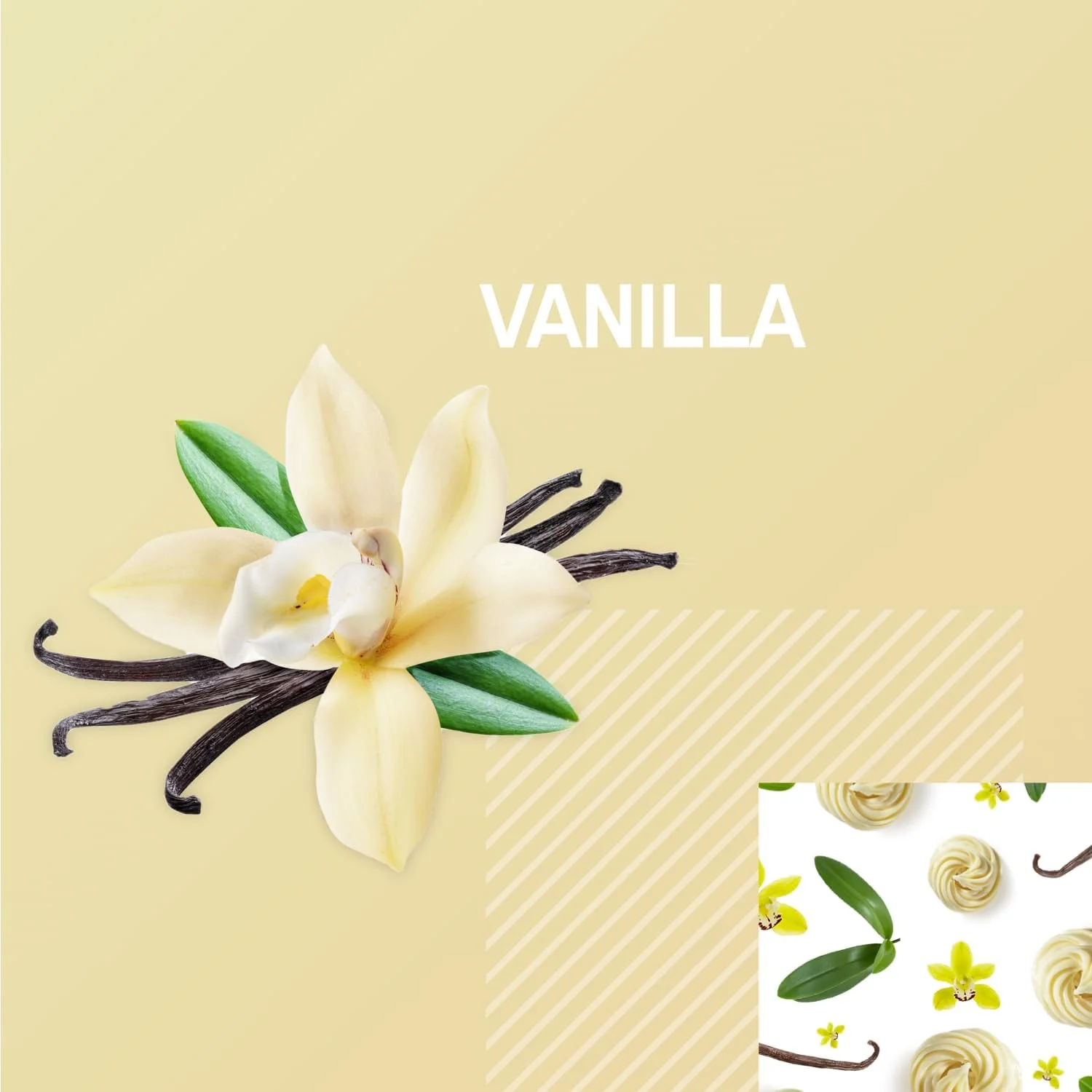 نوشیدنی پروتئینی گلد استاندارد اپتیموم نوتریشن، 24 گرم پروتئین، نوشیدنی پروتئینی آماده مصرف، بدون گلوتن، ویتامین C برای تقویت سیستم ایمنی، وانیلی، 330 میلی لیتر، 12 عدد (بسته 1 عددی) (بسته بندی ممکن است متفاوت باشد) نوشیدنی پروتئینی گلد استاندارد اپتیموم نوتریشن، 24 گرم پروتئین، نوشیدنی پروتئینی آماده مصرف، بدون گلوتن، ویتامین C برای تقویت سیستم ایمنی، وانیلی، 330 میلی لیتر، 12 عدد (بسته 1 عددی) (بسته بندی ممکن است متفاوت باشد)