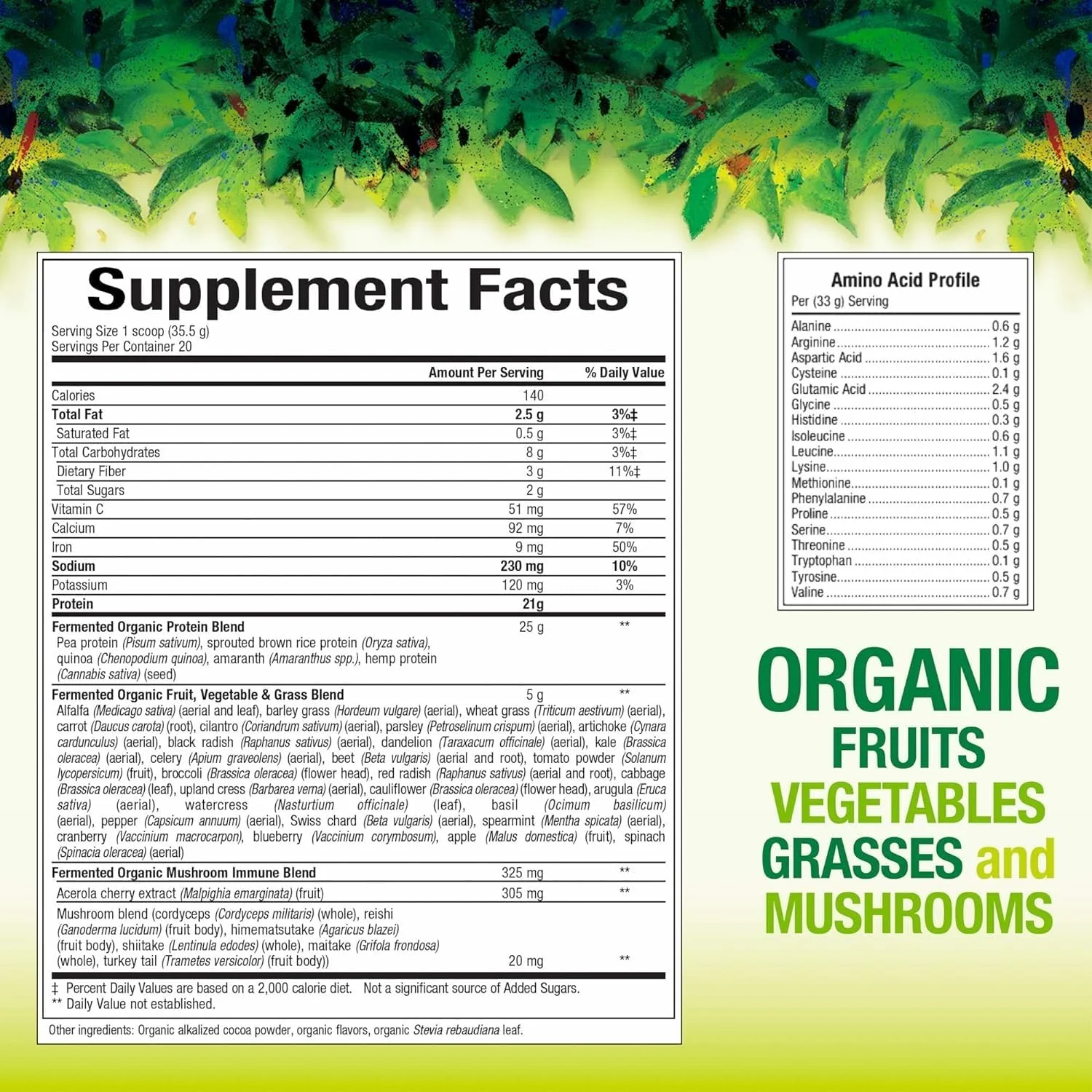 پروتئین و سبزیجات تخمیر شده ارگانیک Whole Earth & Sea از Natural Factors، مکمل غذایی کامل گیاهی، شکلاتی، 420 گرم