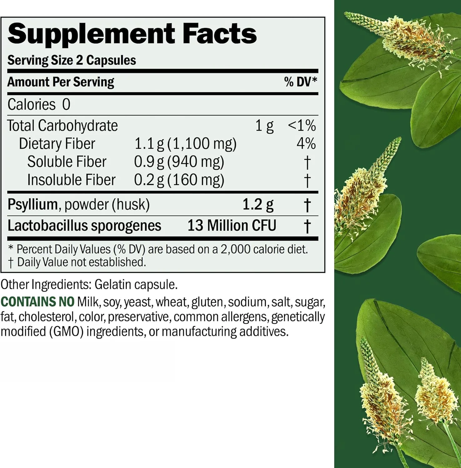 اندرو لِسمن فیبرموسیل 180 کپسول - پودر پوسته اسفرزه. به آرامی باعث بهبود عملکرد منظم روده و سلامت دستگاه گوارش می شود. غنی از فیبر. ملایم، آسان و موثر. بدون افزودنی. کپسول های کوچک با بلع آسان