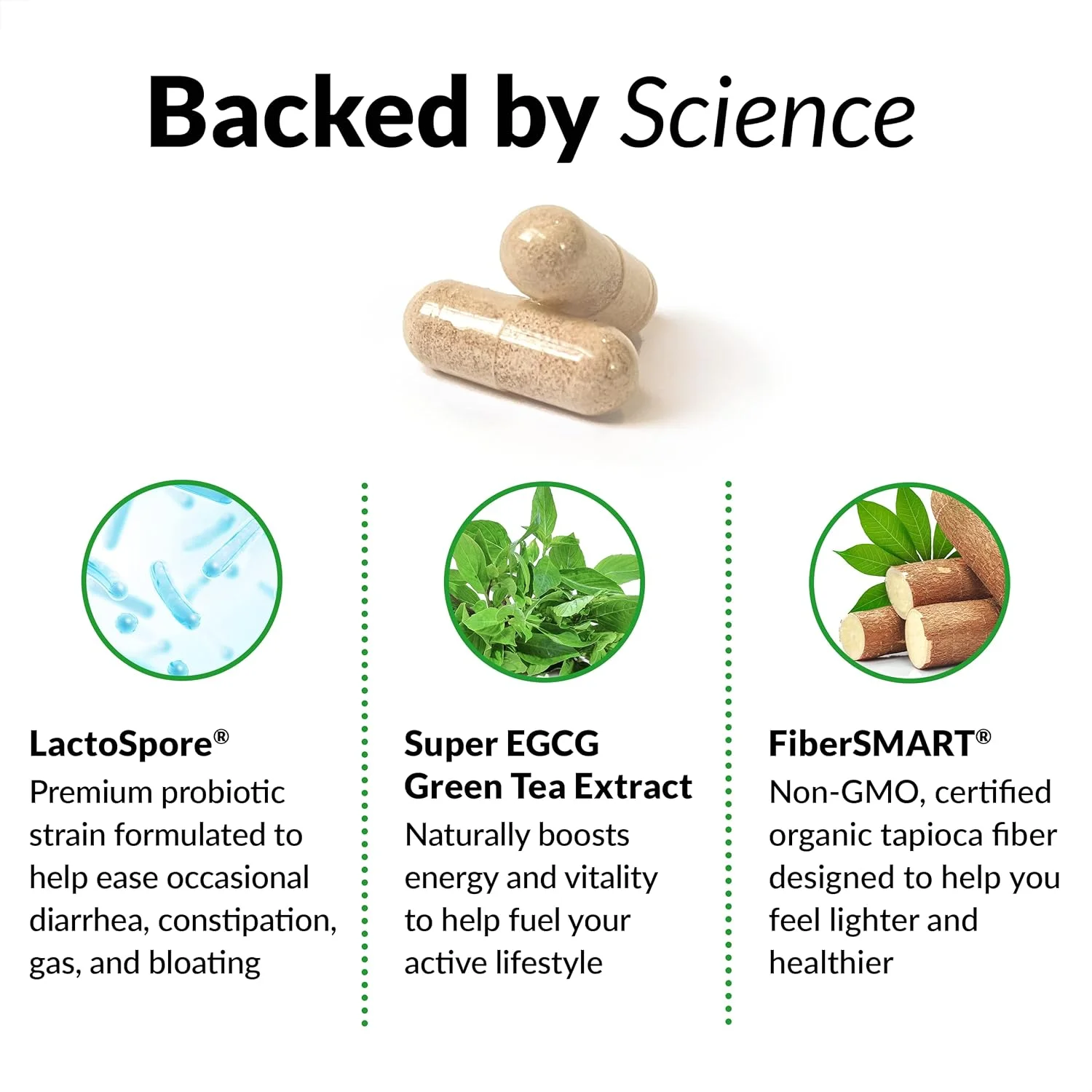 فورس فکتور پروبیواسلیم + فیبر پری‌بیوتیک، تقویت‌کننده متابولیسم برای زنان و مردان، پشتیبانی از سلامت دستگاه گوارش، عصاره چای سبز و فیبر پوسته اسفرزه، 120 عدد (بسته 2 عددی)
