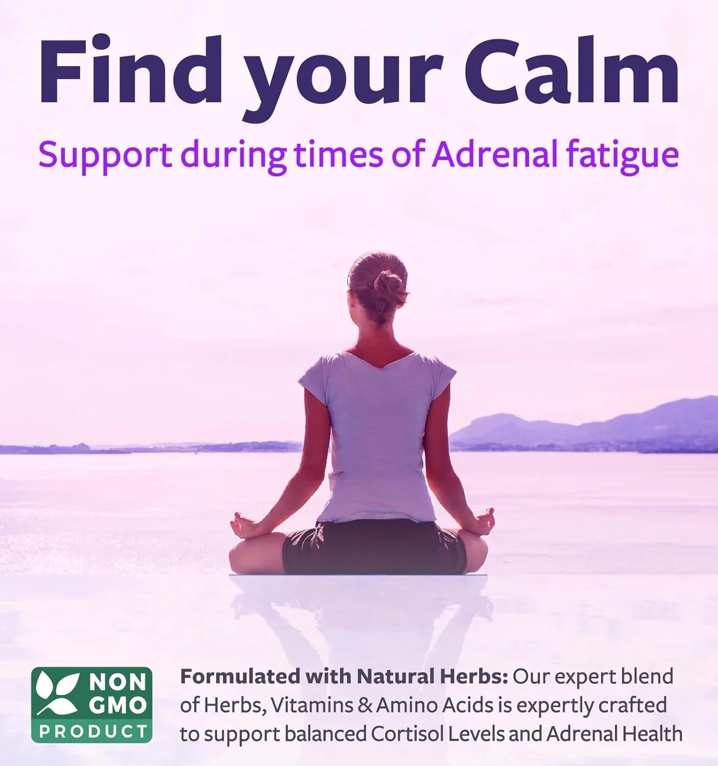 مکمل پشتیبانی سیستم فوق کلیوی و تنظیم کننده کورتیزول (تامین 2 ماهه) حاوی آشوآگاندا و ال-تیروزین - حفظ تعادل سطح کورتیزول، سلامتی و کاهش استرس - غیر GMO - 60 کپسول