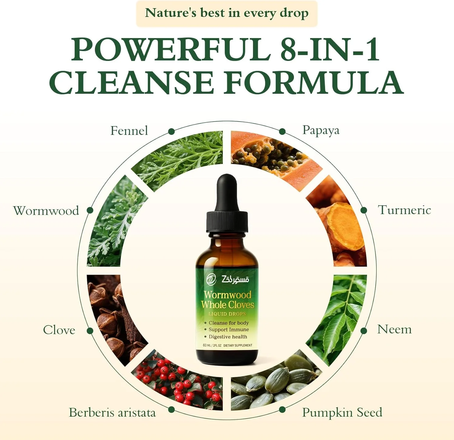 عصاره افسنطین مایع - ترکیبی گیاهی برای پشتیبانی از هضم، تعادل روده و سلامتی روزانه، 60 میلی لیتر