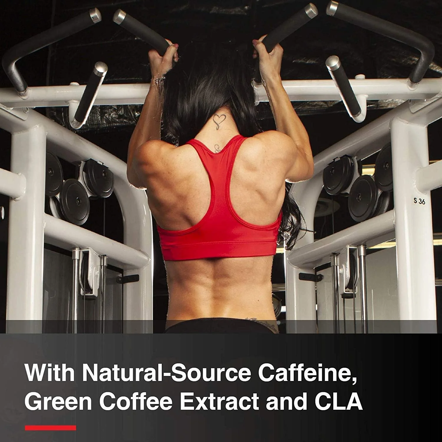 نوشیدنی انرژی زا آمینو شارژ شده ALLMAX A:CUTS، پرتقال قطبی - 210 گرم - حاوی کافئین، عصاره قهوه سبز، ال-کارنیتین و 2000 میلی گرم تورین - بدون شکر و گلوتن - 30 سروینگ نوشیدنی انرژی زا آمینو شارژ شده ALLMAX A:CUTS، پرتقال قطبی - 210 گرم - حاوی کافئین، عصاره قهوه سبز، ال-کارنیتین و 2000 میلی گرم تورین - بدون شکر و گلوتن - 30 سروینگ