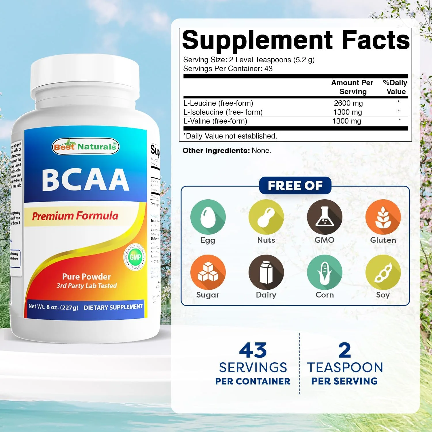 بهترین نچرالز پودر بی سی ای ای 227 گرم، آمینو اسیدهای شاخه دار، گرید دارویی بهترین نچرالز پودر بی سی ای ای 227 گرم، آمینو اسیدهای شاخه دار، گرید دارویی