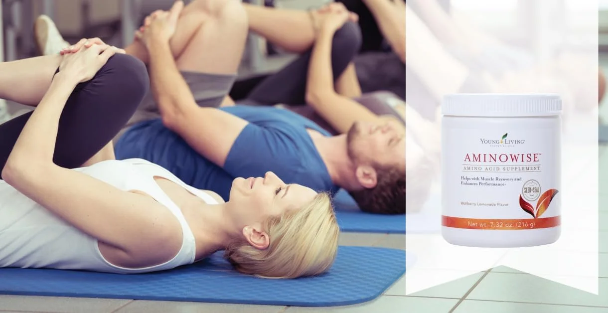 نوشیدنی مخلوط آمینو وایز یانگ لیوینگ با طعم لیموناد گوجی بری - عملکرد عضلانی، کاهش خستگی و پشتیبانی بعد از تمرین - 30 سروینگ نوشیدنی مخلوط آمینو وایز یانگ لیوینگ با طعم لیموناد گوجی بری - عملکرد عضلانی، کاهش خستگی و پشتیبانی بعد از تمرین - 30 سروینگ