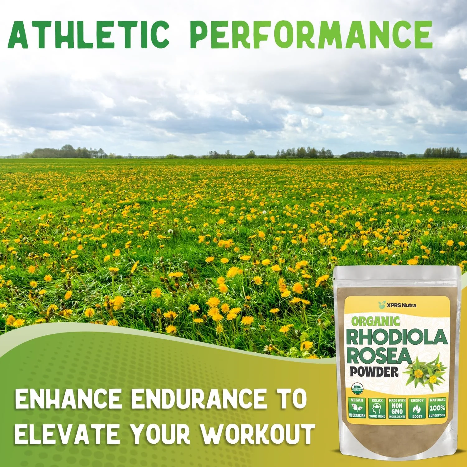 پودر رودیولا رزا ارگانیک XPRS Nutra - پودر رودیولا ارگانیک ممتاز USDA برای شناخت و آرامش - تقویت کننده انرژی مناسب گیاهخواران (28 گرم)