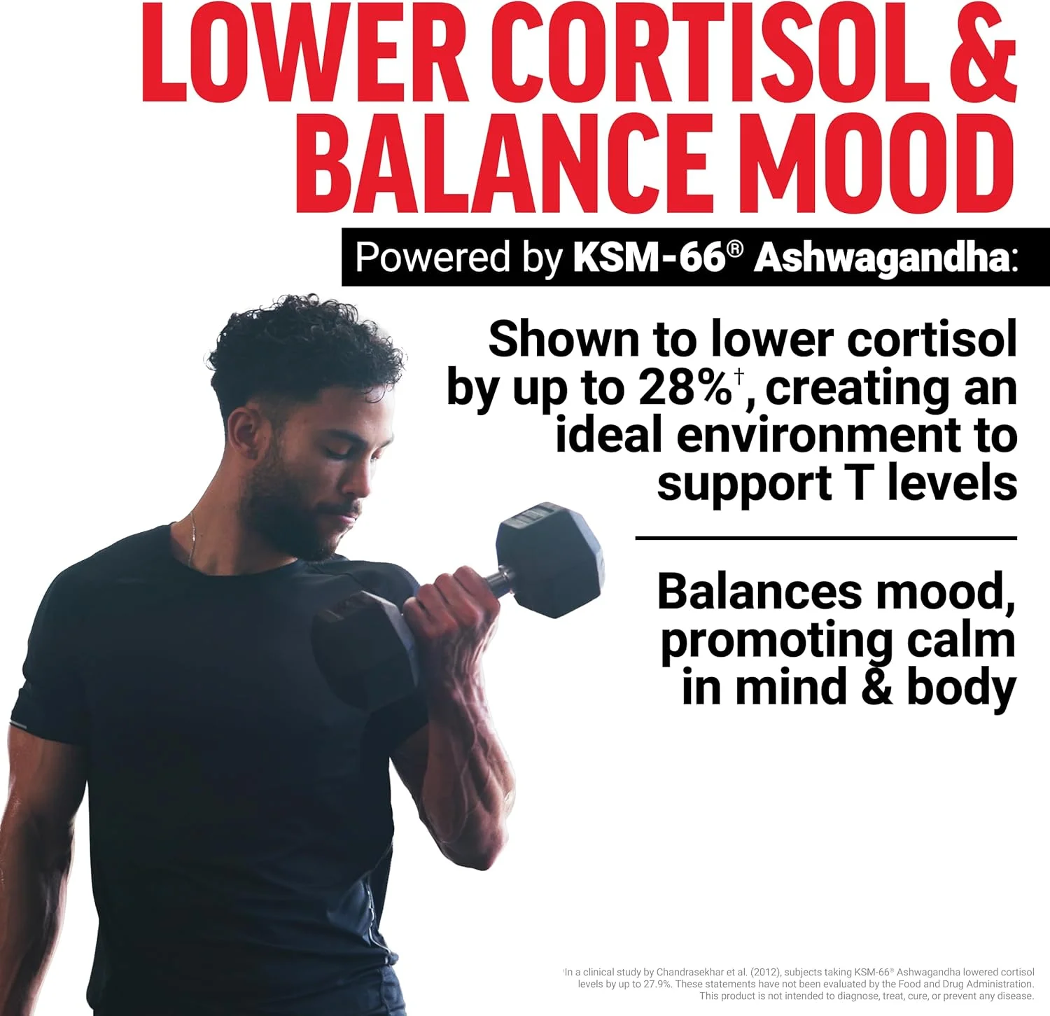 پاستیل های Force Factor Test X180 Max، مکمل تقویت کننده تستوسترون برای مردان، حاوی KSM-66 Ashwagandha برای حمایت از سطح T، قدرت و نشاط، توت مخلوط، 60 پاستیل پاستیل های Force Factor Test X180 Max، مکمل تقویت کننده تستوسترون برای مردان، حاوی KSM-66 Ashwagandha برای حمایت از سطح T، قدرت و نشاط، توت مخلوط، 60 پاستیل