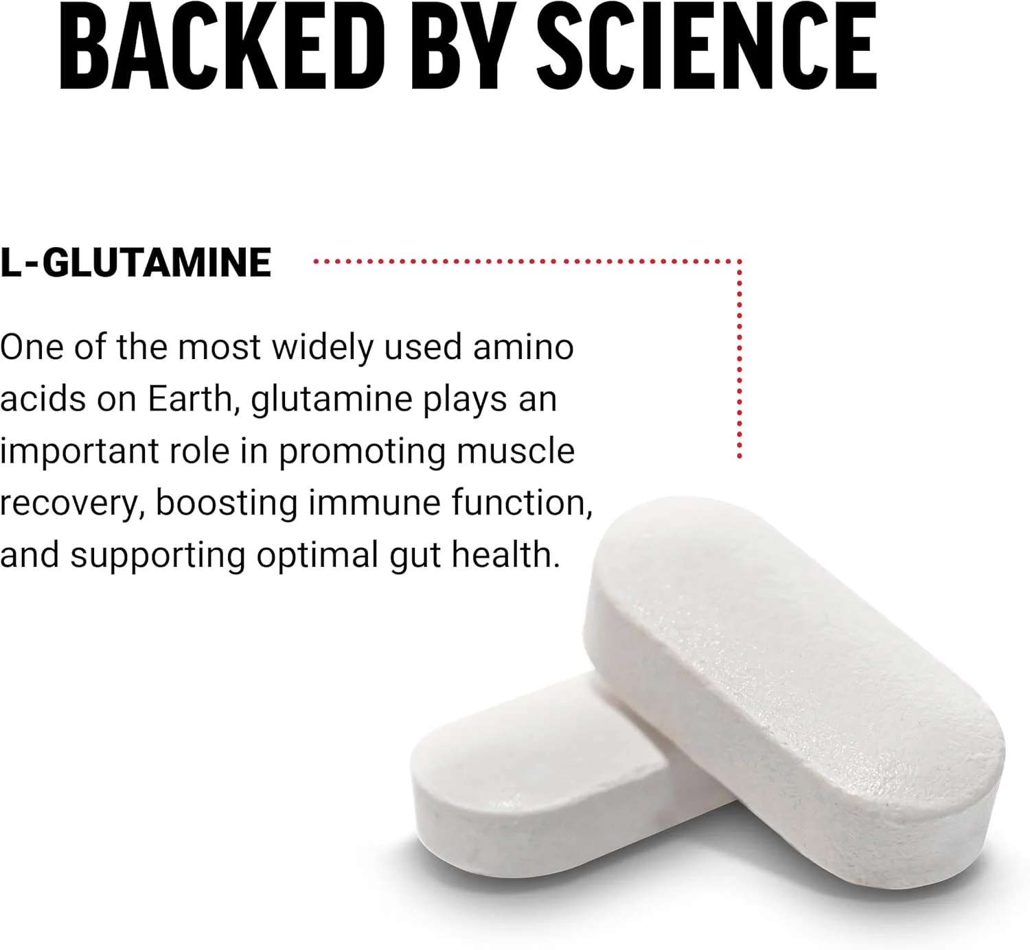 قرص های ال-گلوتامین 1000 میلی گرمی فورس فکتور، گلوتامین برای ریکاوری عضلات، عملکرد سالم عضلات و ایمنی، وگان، غیر GMO، 100 قرص قرص های ال-گلوتامین 1000 میلی گرمی فورس فکتور، گلوتامین برای ریکاوری عضلات، عملکرد سالم عضلات و ایمنی، وگان، غیر GMO، 100 قرص