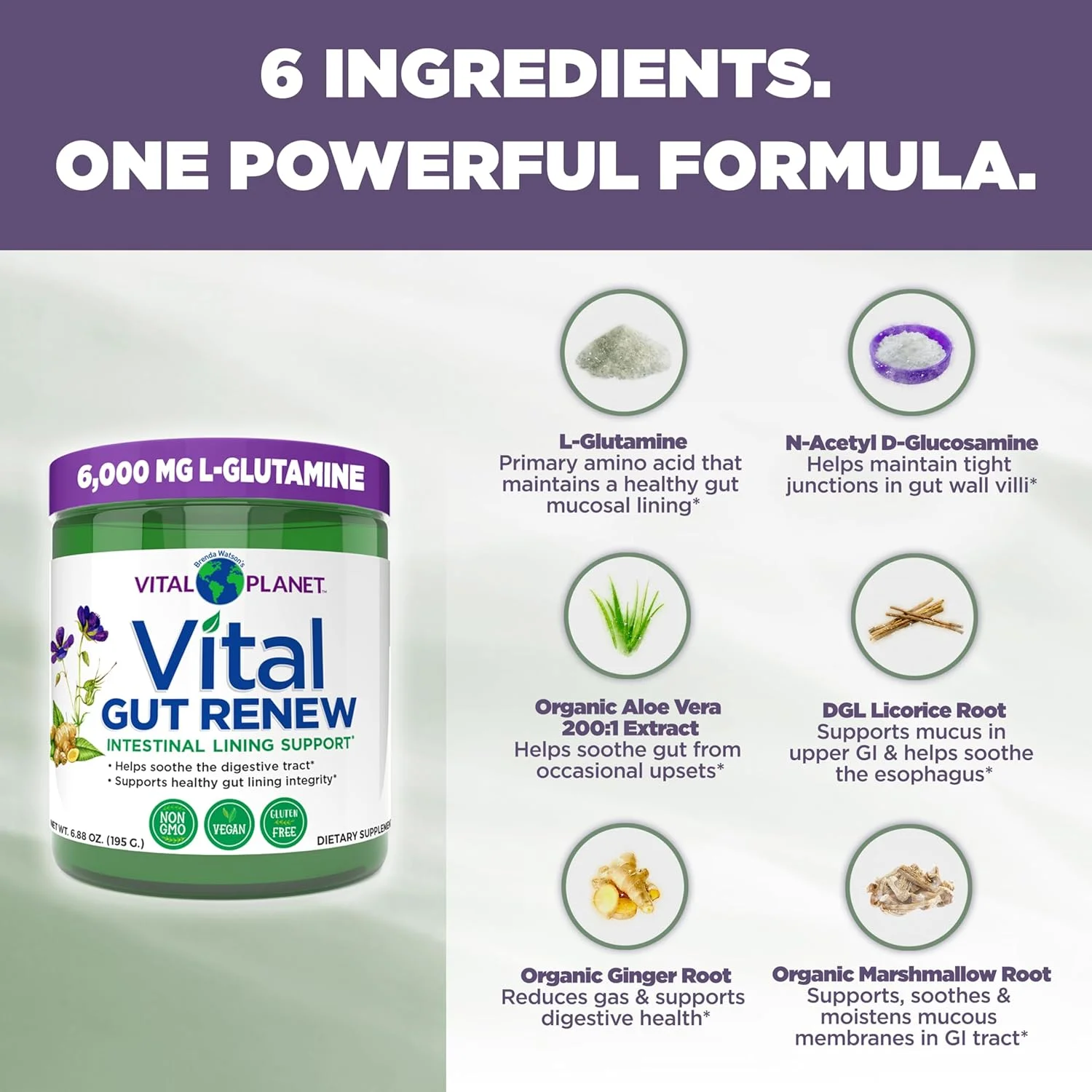 پودر مکمل Vital Planet - Vital Gut Renew برای ترمیم روده با ال-گلوتامین، ریشه ختمی و زنجبیل، ریشه شیرین بیان DGL و آلوئه ورا ارگانیک، ال گلوتامین 6000 میلی گرم 195 گرم پودر مکمل Vital Planet - Vital Gut Renew برای ترمیم روده با ال-گلوتامین، ریشه ختمی و زنجبیل، ریشه شیرین بیان DGL و آلوئه ورا ارگانیک، ال گلوتامین 6000 میلی گرم 195 گرم