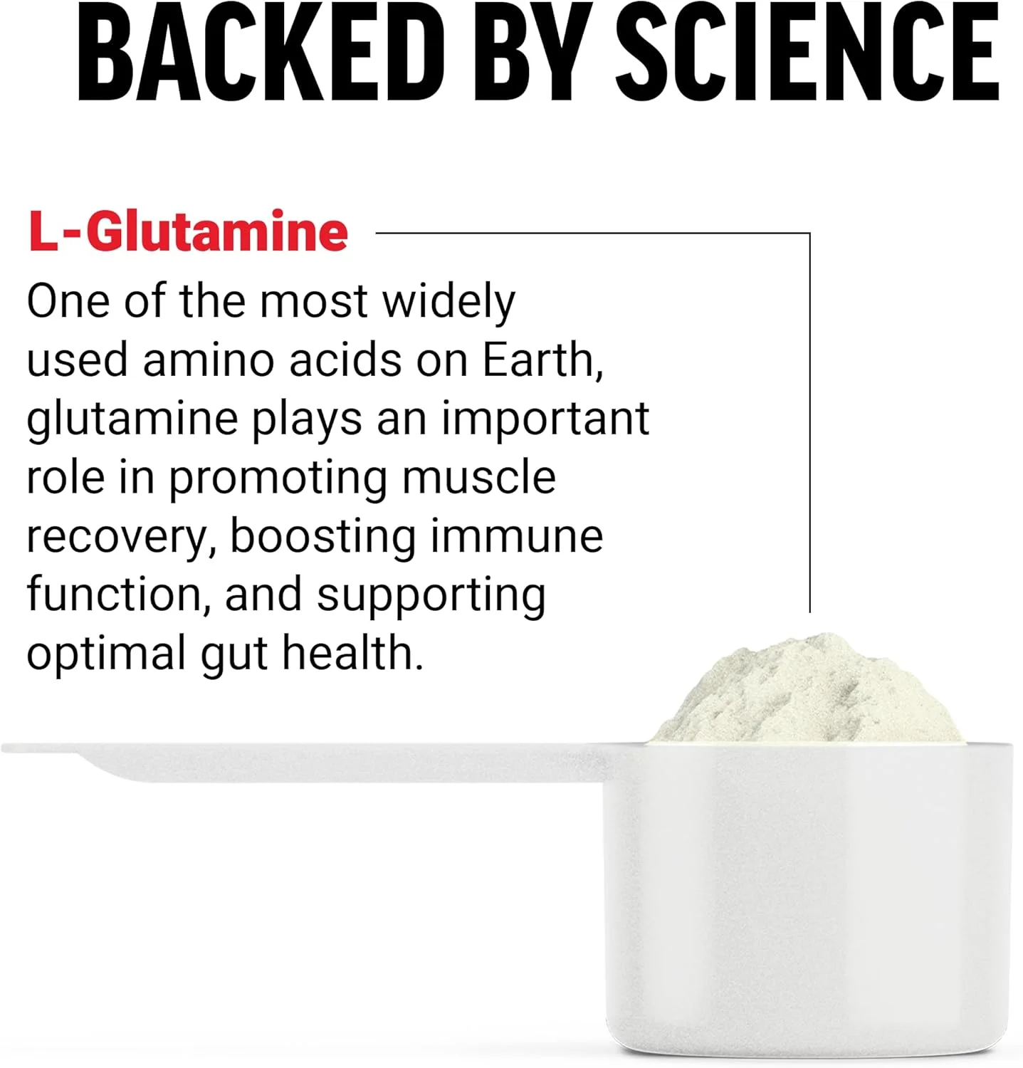 پودر ال-گلوتامین فورس فکتور برای ریکاوری بعد از تمرین، ترمیم عضلات، عملکرد سالم عضلات و ایمنی، مکمل گلوتامین 5000 میلی گرم/5 گرم، وگان، غیر GMO، 60 سروینگ پودر ال-گلوتامین فورس فکتور برای ریکاوری بعد از تمرین، ترمیم عضلات، عملکرد سالم عضلات و ایمنی، مکمل گلوتامین 5000 میلی گرم/5 گرم، وگان، غیر GMO، 60 سروینگ