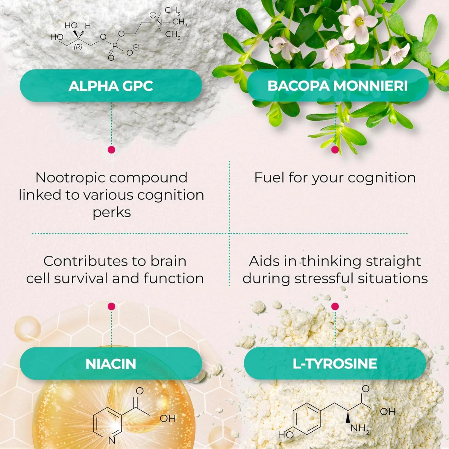 مکمل های تقویت حافظه و تمرکز پیور هلث ریسرچ ایجلس برین - مکمل سلامت مغز نوتروپیک برای بزرگسالان - حاوی باکوپا مونیری، آلفا جی پی سی، ال-تیروزین، ویتامین ب6، نیاسین و غیره، 60 کپسول