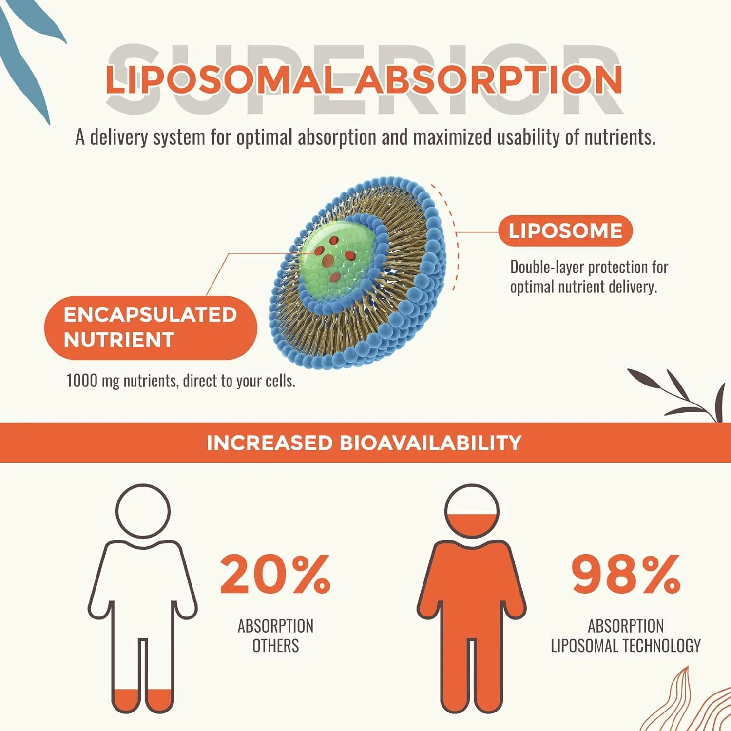 مکمل مایع اکسیژن و مواد مغذی 13 در 1، ترکیب لیپوزومی بهینه شده با مواد معدنی کمیاب، اسیدهای آمینه، کوآنزیم Q10، ویتامین های B و اسید فولویک، قطره های مایع اکسیژن روزانه، 2 fl oz