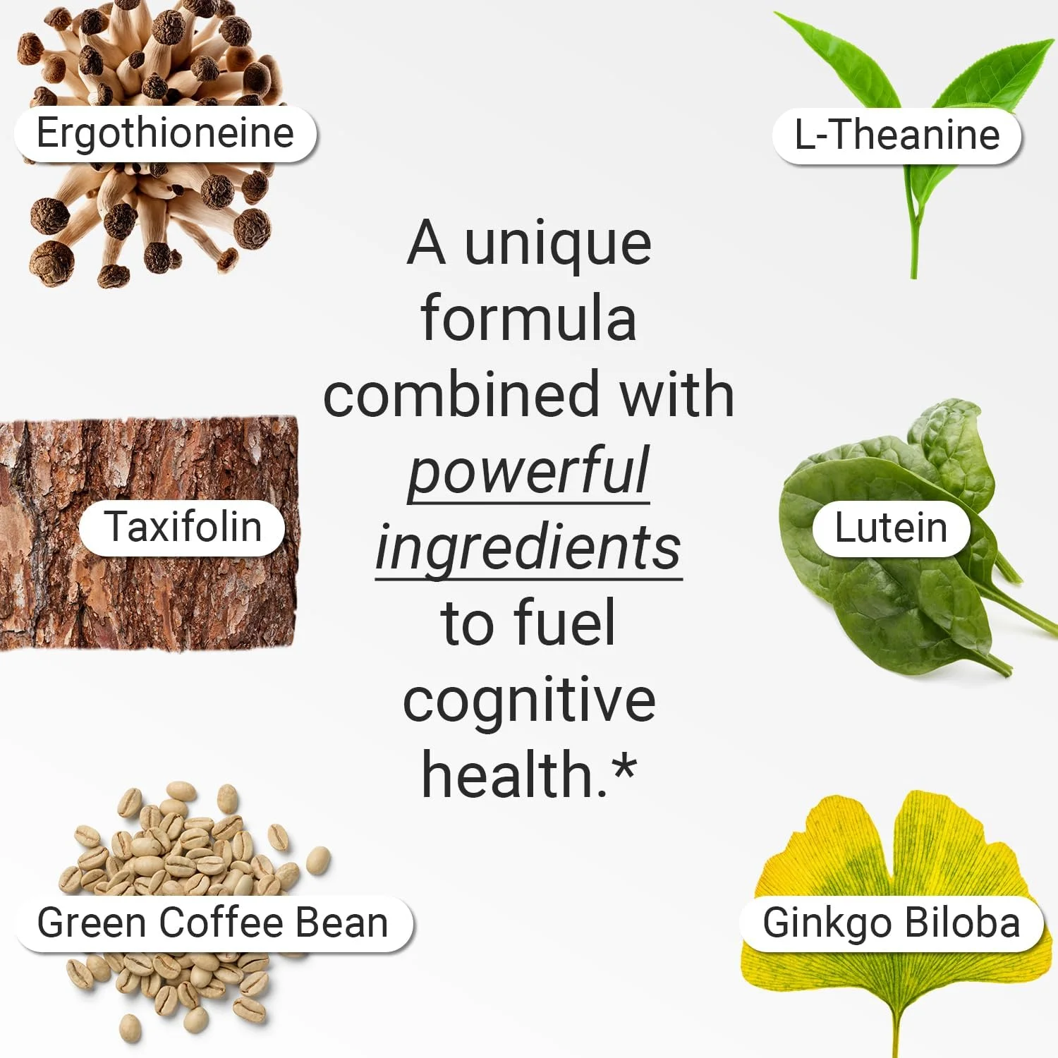مکمل شناختی FLT - تقویت تمرکز، بهبود حافظه و وضوح ذهنی حاوی ارگوتایونئین، ال-تیانین، جینکوبیلوبا، لوتئین و عصاره دانه قهوه سبز - 60 کپسول | وگان