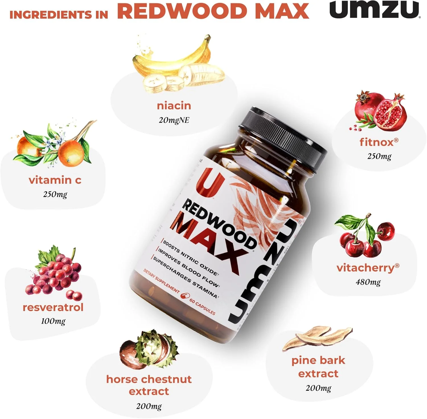 تقویت کننده اکسید نیتریک UMZU Redwood Max، تامین یک ماهه - مکمل پیشرفته اکسید نیتریک با ترکیب Fitnox، پوست درخت کاج، رسوراترول و آلبالو ترش - ترویج گردش خون سالم، انرژی و ریکاوری