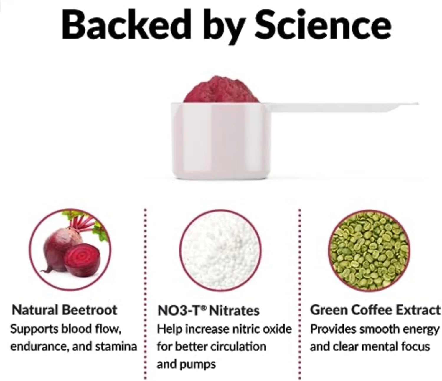 پودر پیش از تمرین Total Beets FORCE FACTOR برای افزایش انرژی و استقامت، افزایش قدرت و بهبود جریان خون و پمپاژ، مکمل اکسید نیتریک با پودر ریشه چغندر و هندوانه، 30 سروینگ