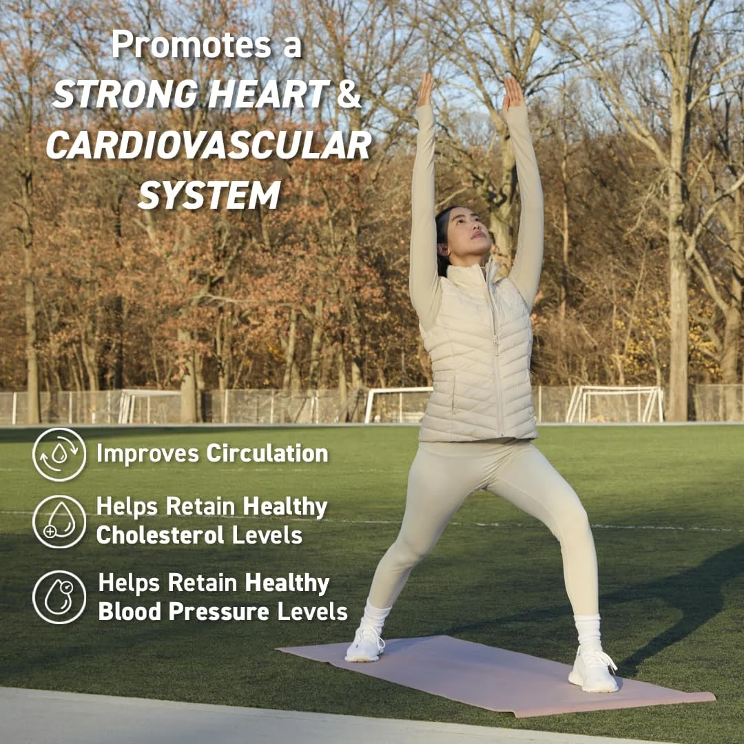 پودر کاکائو CocoaVia برای سلامت قلب، 30 سروینگ، 500 میلی گرم فلاونول های کاکائو، پشتیبانی از سلامت قلب، افزایش اکسید نیتریک، بهبود گردش خون، انرژی، قبل از تمرین، وگان، کاکائو شکلات تلخ