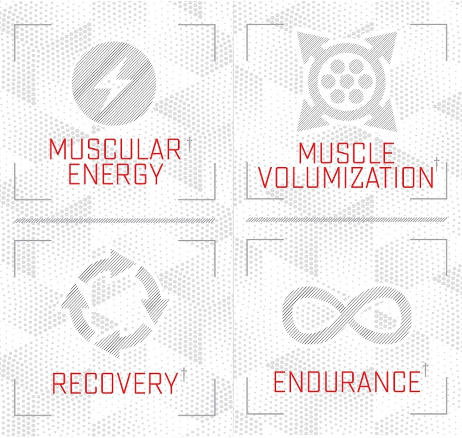 پودر سیترولین مالات سری Foundation Purus Labs | آمینو اسید فعال ال-سیترولین | قدرت، حجم و ریکاوری | 100 سروینگ (بدون طعم)