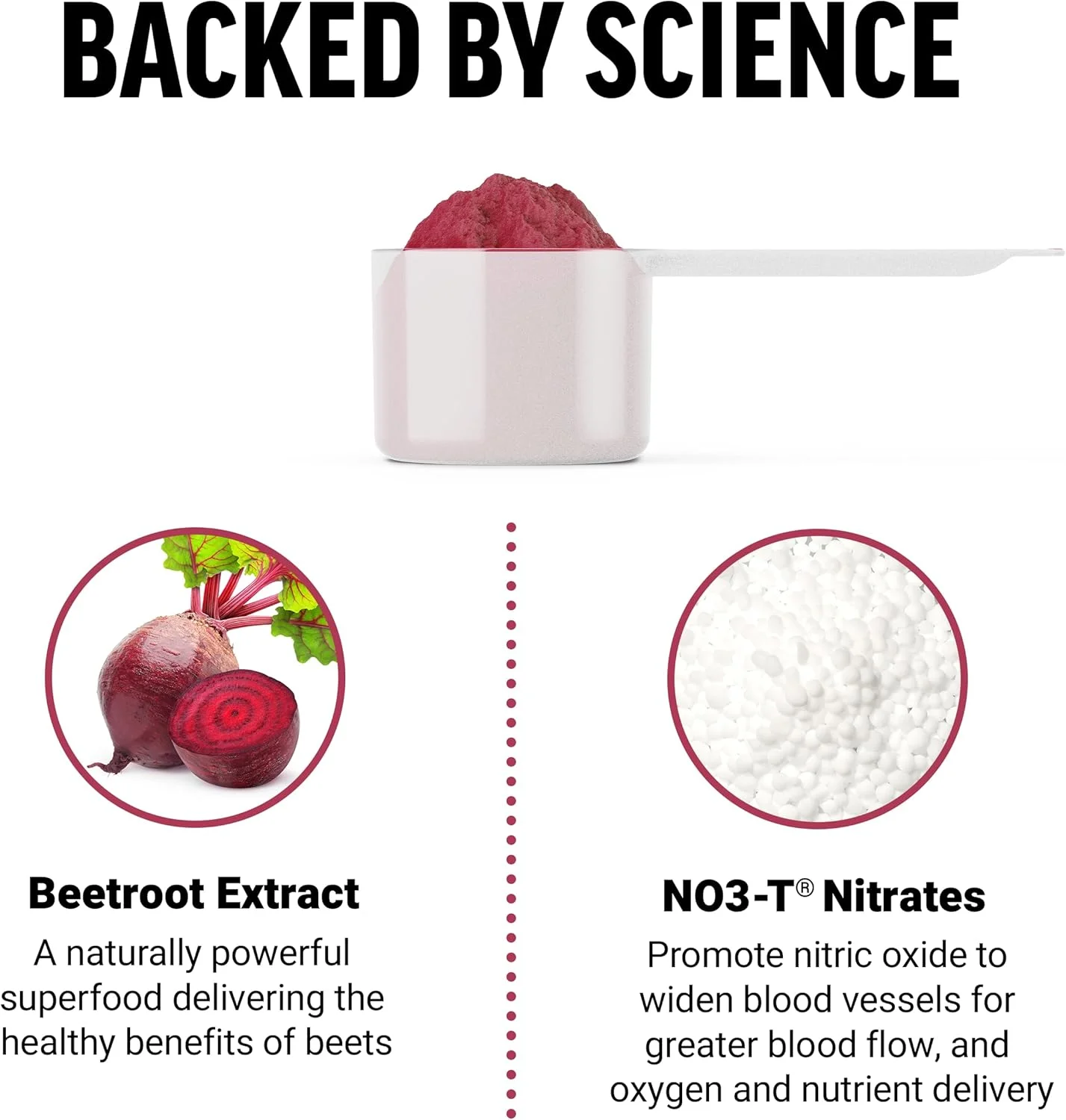 مخلوط نوشیدنی چغندر فورس فکتور توتال، پودر سوپرفود با نیترات برای حمایت از گردش خون، جریان خون، اکسید نیتریک، انرژی، استقامت و بنیه، مکمل سلامت قلب و عروق، 30 سروینگ