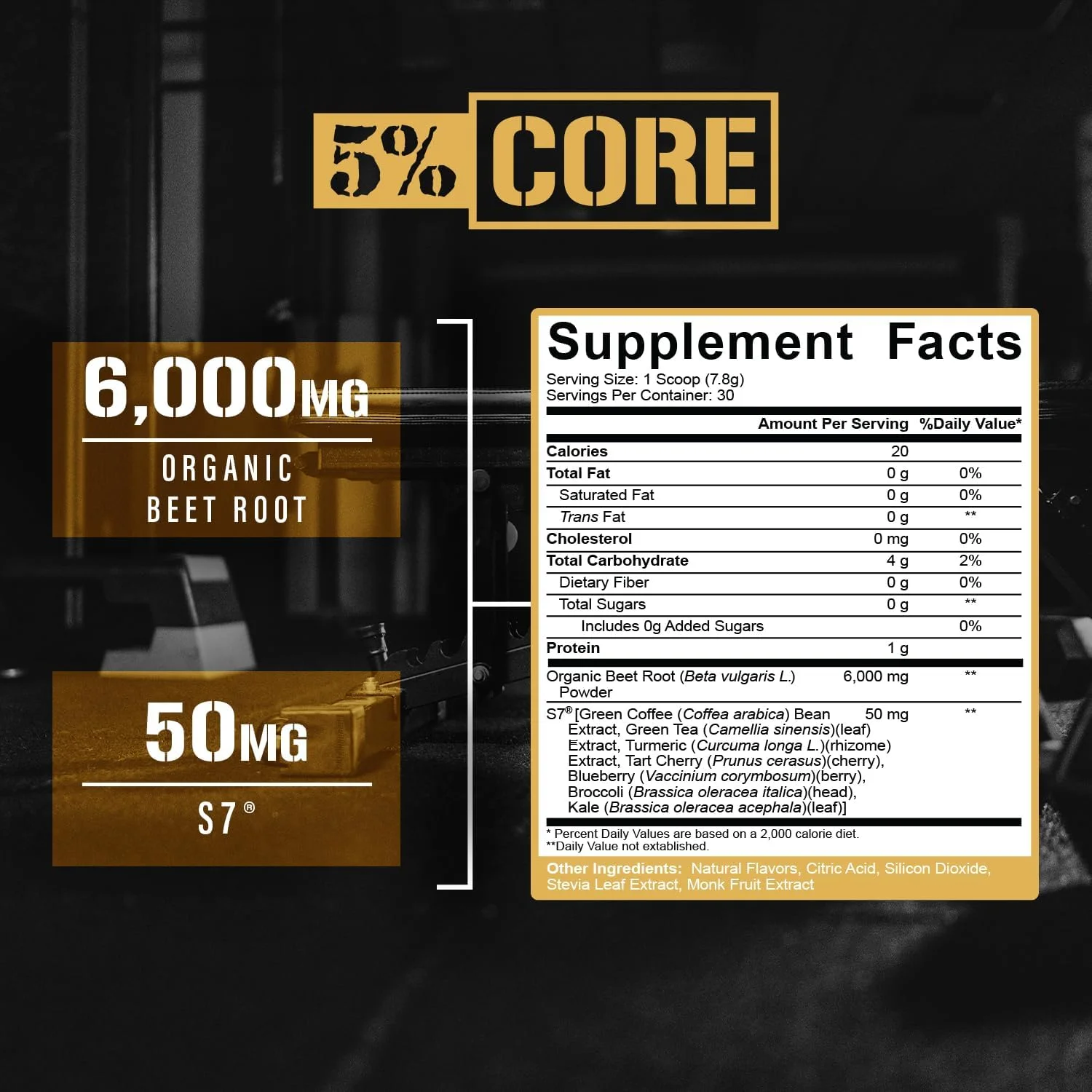 پودر ریشه چغندر ارگانیک 5% نوتریشن | مکمل نیتریک اکسید ریشه چغندر برای قبل از تمرین | 6000 میلی گرم عصاره | وگان و کتو | 30 سروینگ (پانچ میوه)