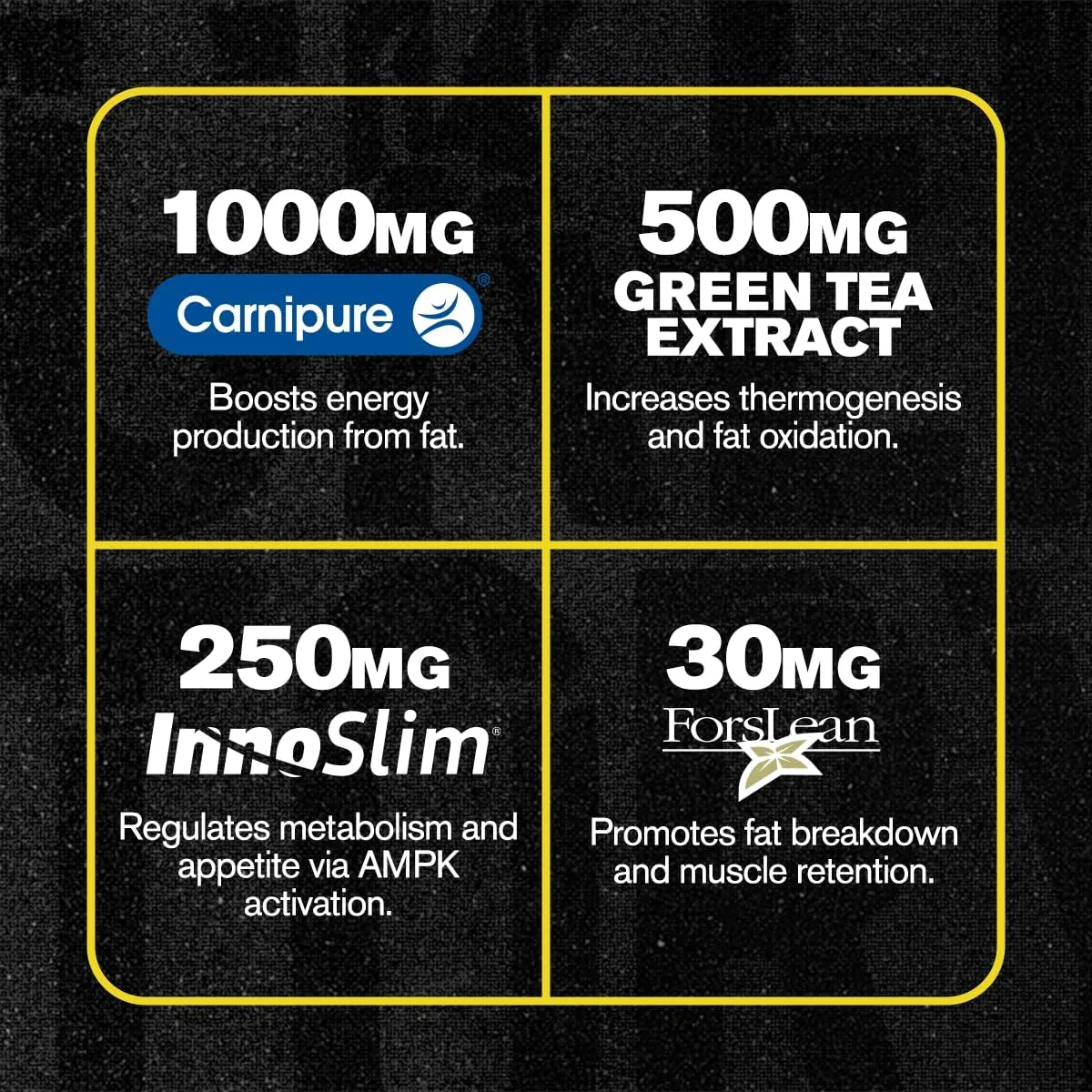 مکمل چربی سوز بدون محرک با عملکرد بالا Lean-XT Max حاوی کارنیپیور، عصاره چای سبز، اینوسلیم و فورسلین برای افزایش متابولیسم، کاهش وزن و سرکوب اشتها - 90 عدد