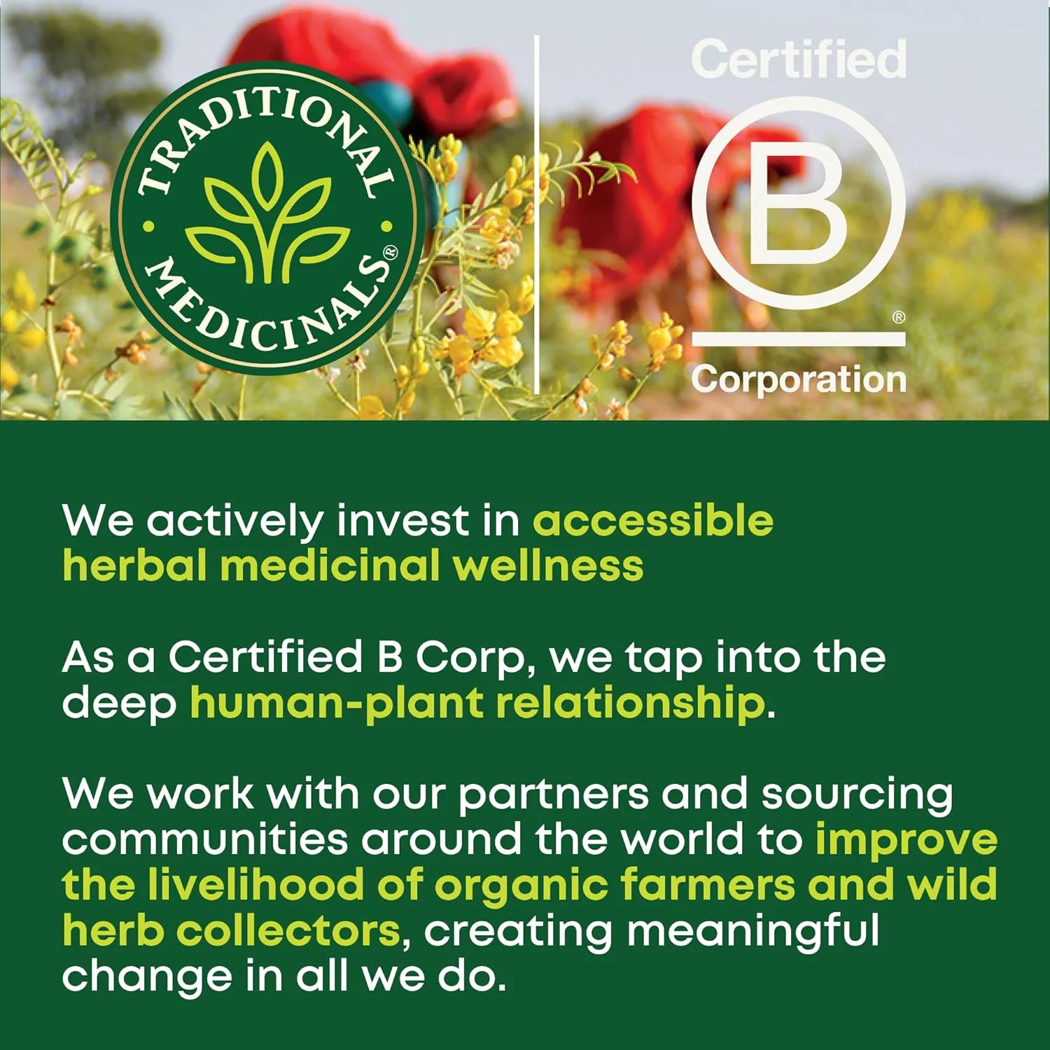 کپسول های ملین Smooth Move از Traditional Medicinals - حاوی سنای ارگانیک - تسکین دهنده طبیعی گیاهی یبوست - 50 کپسول (1 بسته)