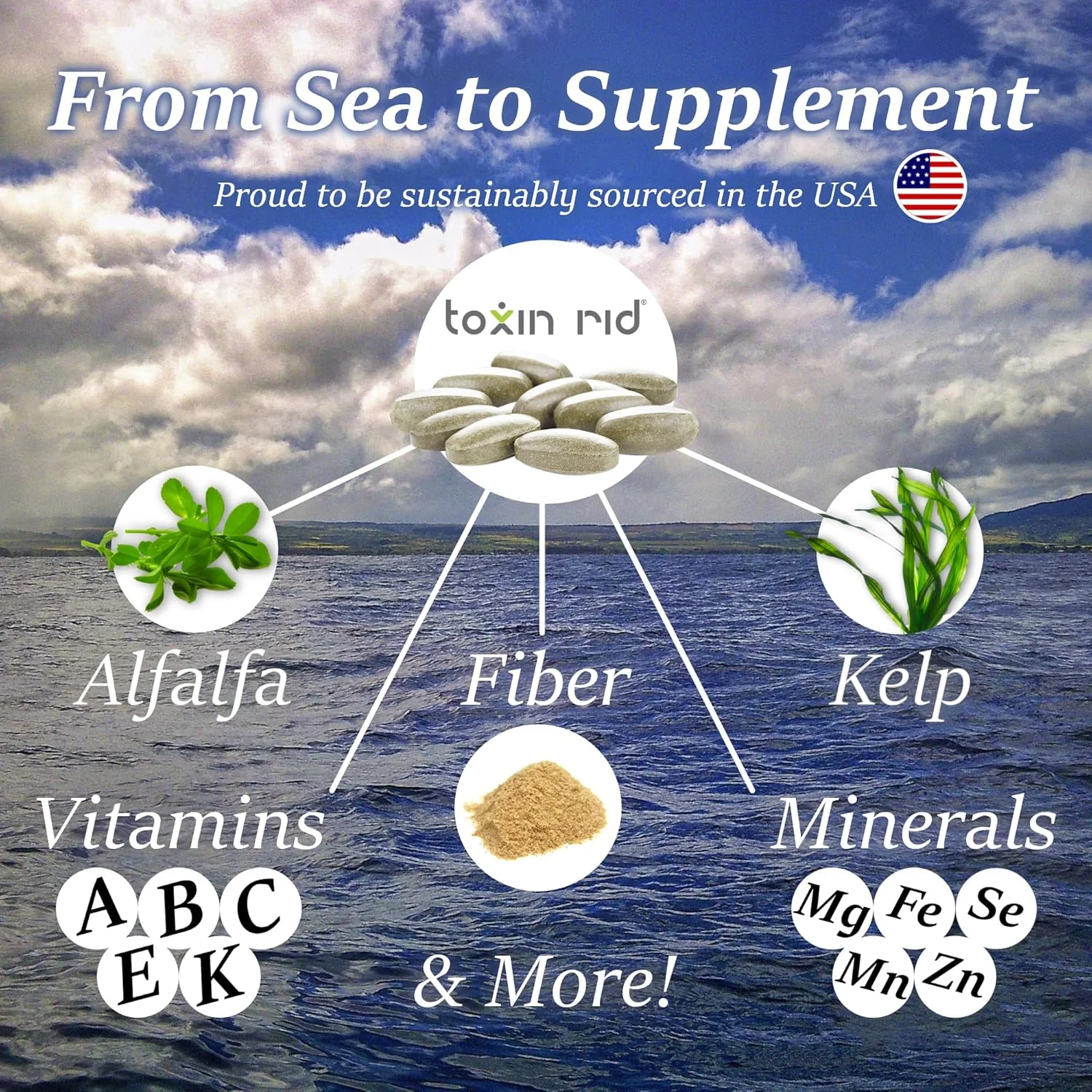 مجموعه سم زدای یک روزه | پاکسازی کامل بدن به طور طبیعی برای زنان و مردان | 15 قرص گیاهی با فرمول مایع و فیبر غذایی | ساخت آمریکا
