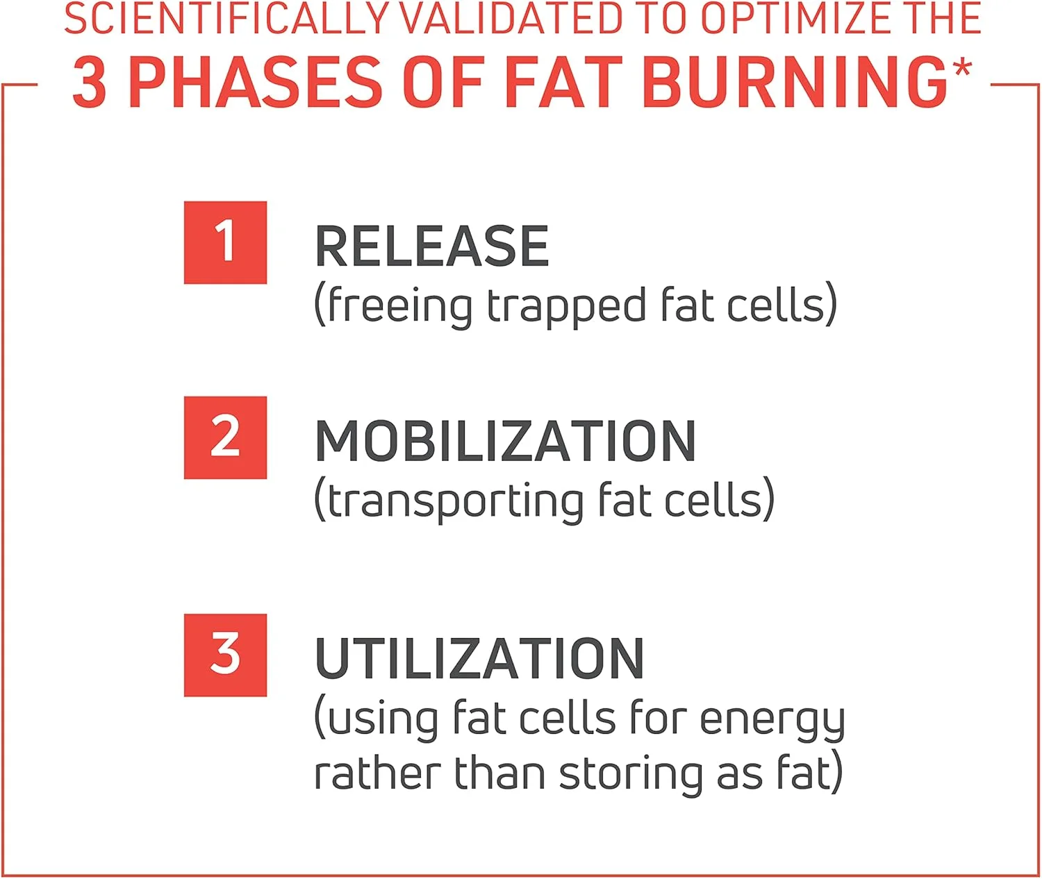 نواکس بایوتک ترموداین - چربی سوز ترموژنیک برای آقایان - قرص های کاهش وزن - سرکوب کننده اشتها - تقویت کننده متابولیسم برای آقایان - عصاره چای سبز - 200 میلی گرم کافئین - 120 عدد