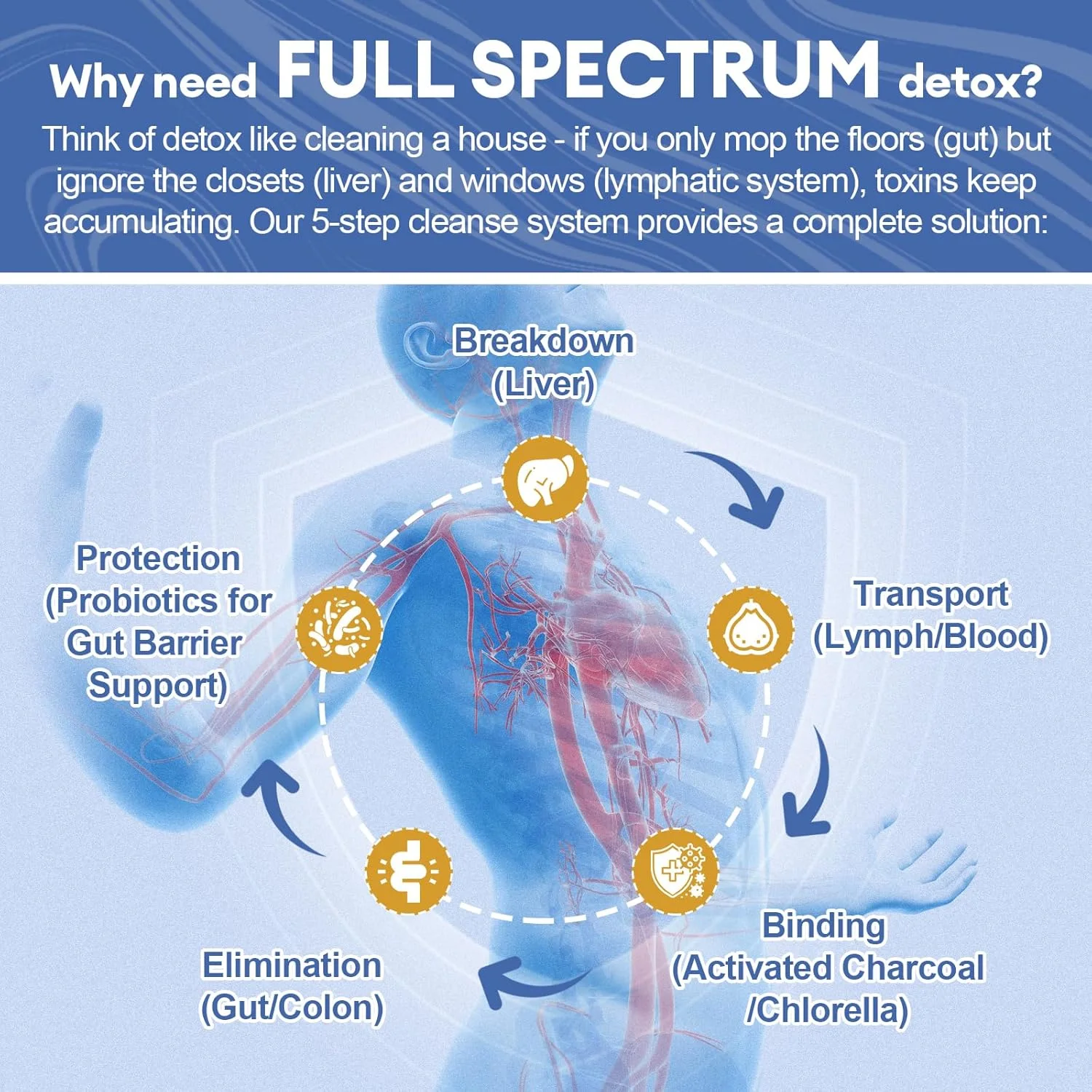 پودر سم زدای طیف کامل 29 در 1 | تنظیم مجدد 5 مرحله ای کل بدن برای حمایت از کبد، لنفاوی، روده بزرگ و روده | طعم قوی خاکی از مواد طبیعی | 30 سروینگ