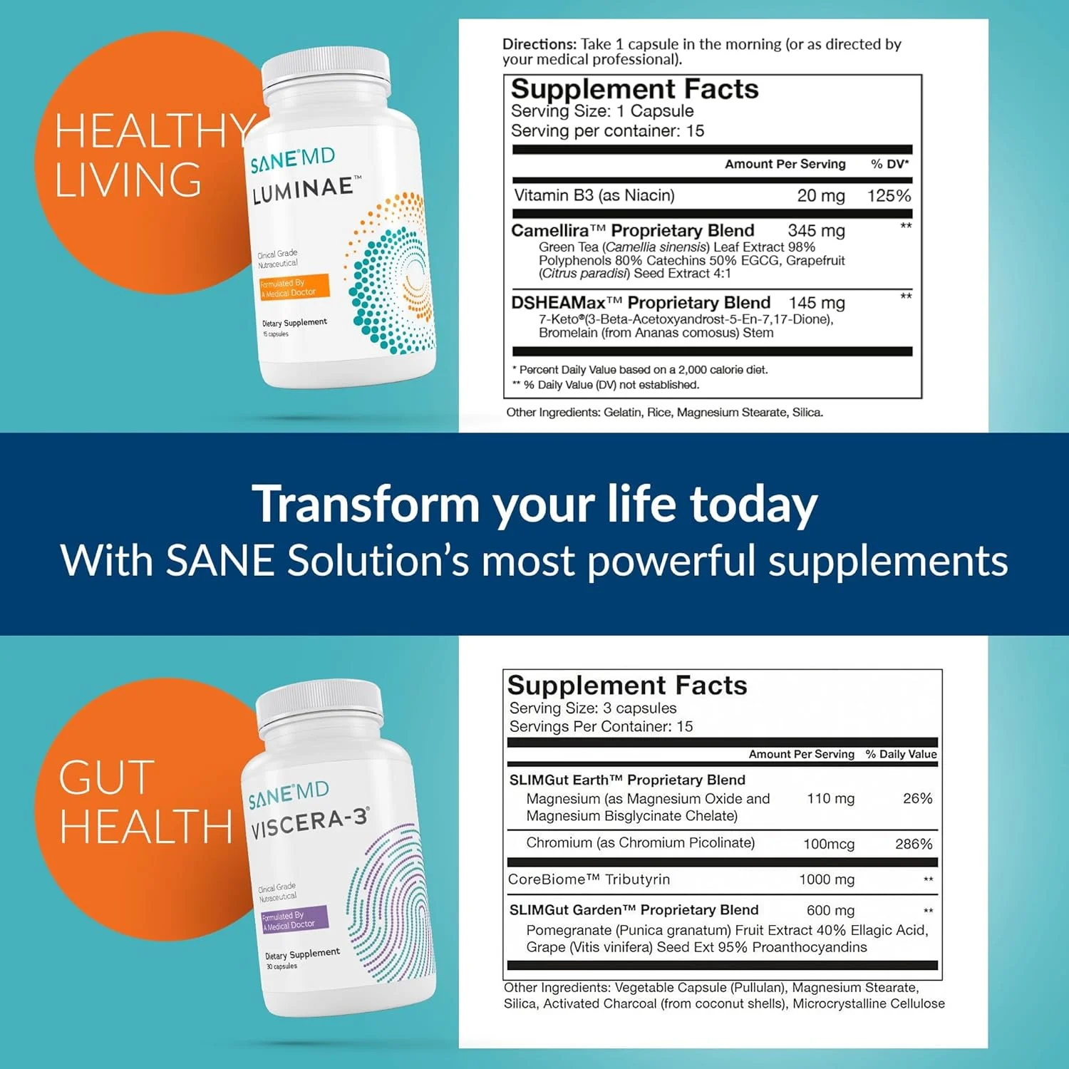 مجموعه SANE Viscera و Luminae15CT