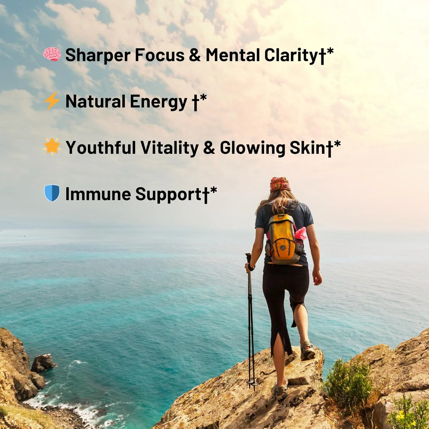 مجموعه ترکیبی 3 ضربه ای ROUNDHOUSE PROVISION و بسته قدرت استاد چی