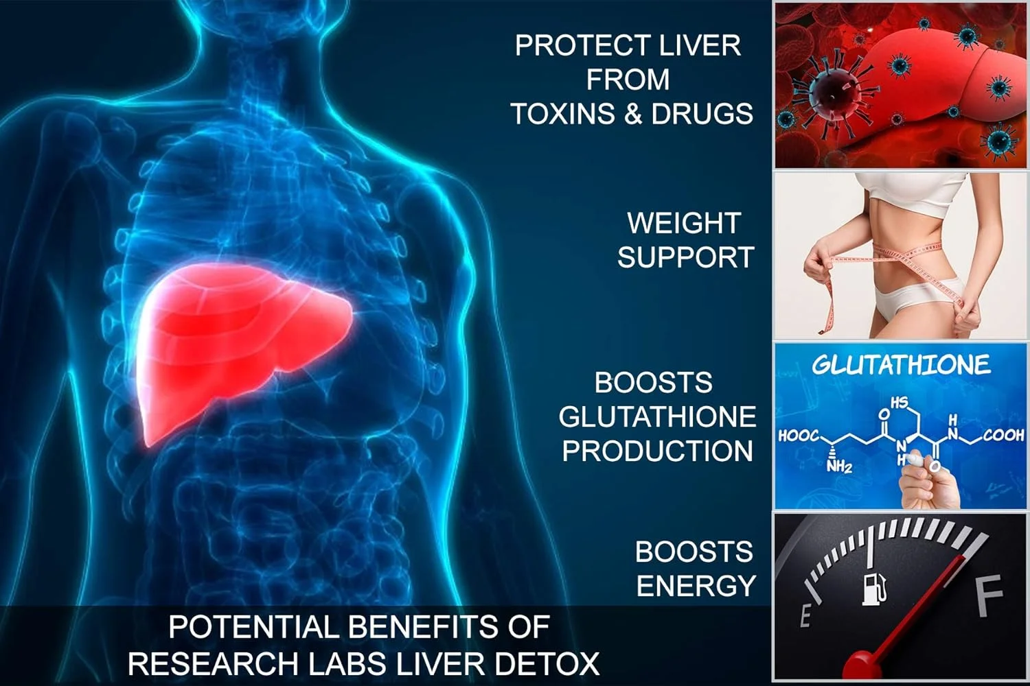 مجموعه ۲ عددی پاکسازی و پشتیبانی کبد با عصاره خار مریم، ریشه چغندر، قاصدک و ۲۳ گیاه دارویی قوی برای سم زدایی موثر