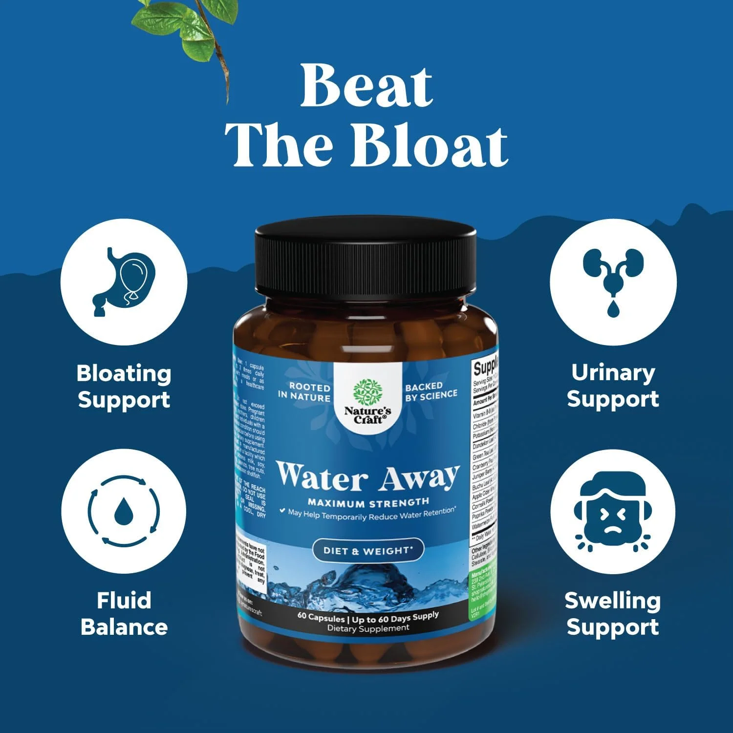 کپسول های طبیعی دفع آب حاوی ویتامین B6، پتاسیم و عصاره ریشه قاصدک، ضد نفخ و تورم، کاهش وزن برای زنان و مردان به همراه چای سبز آنتی اکسیدانی