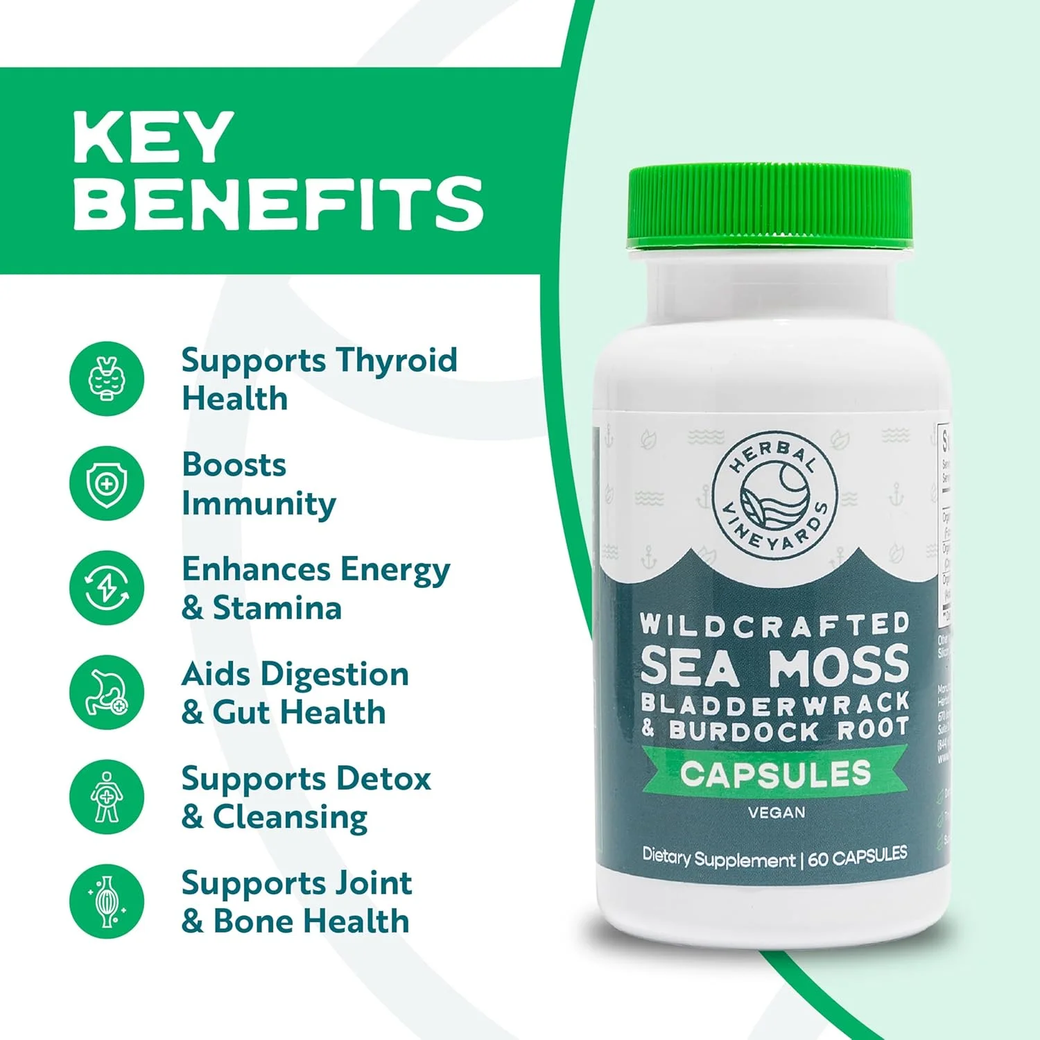 کپسول سبزیجات ارگانیک و دستساز Herbal Vineyards، 60 عدد | 1500 میلیگرم | بستهی 1 عددی | حاوی خزه دریایی ایرلندی، فوکوس وزیکولوسوس و ریشه باباآدم، پشتیبانی از سیستم ایمنی، پوست سالم و انرژی | تقویتکننده قوی ایمنی کپسول سبزیجات ارگانیک و دستساز Herbal Vineyards، 60 عدد | 1500 میلیگرم | بستهی 1 عددی | حاوی خزه دریایی ایرلندی، فوکوس وزیکولوسوس و ریشه باباآدم، پشتیبانی از سیستم ایمنی، پوست سالم و انرژی | تقویتکننده قوی ایمنی