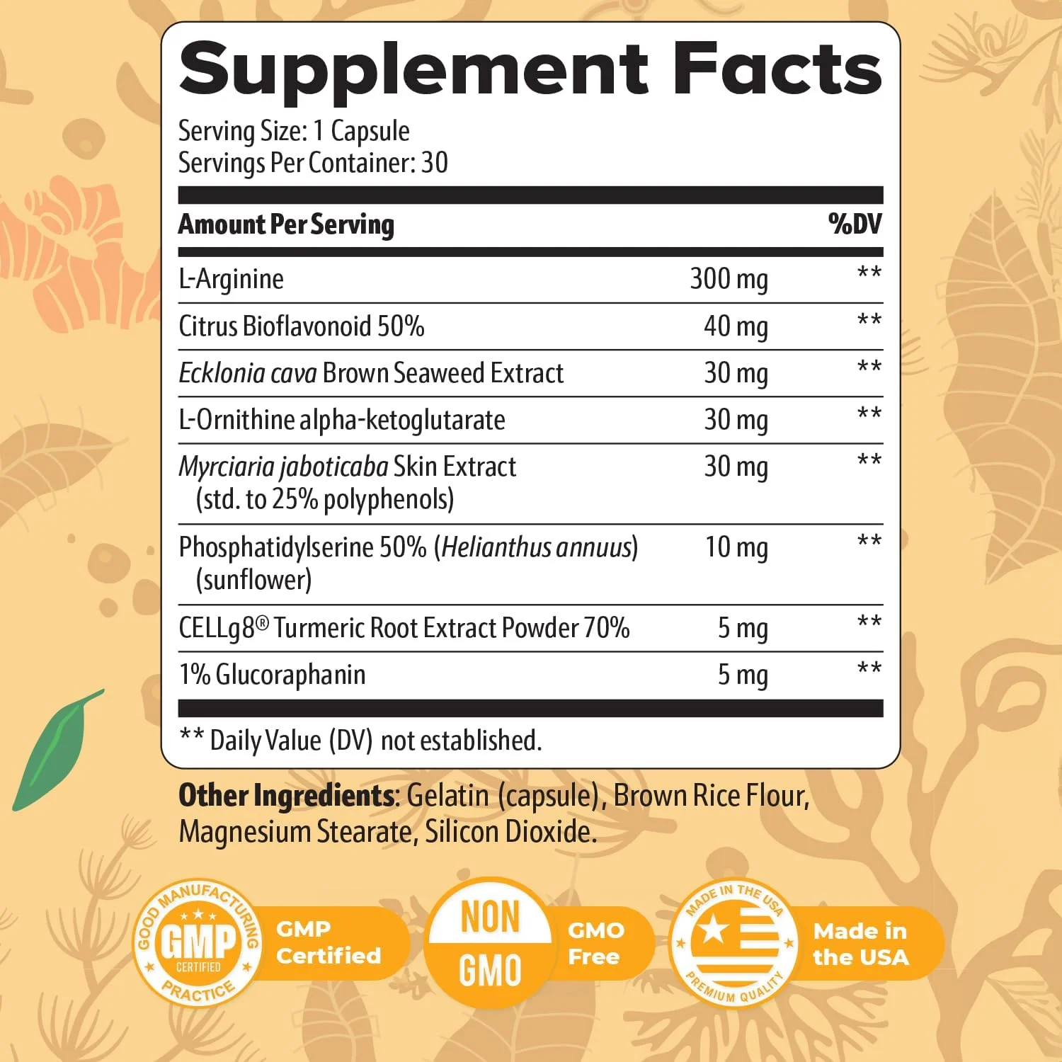 مکمل ۱۰۰٪ طبیعی OrexiBurn با ۸ ماده گیاهی | غیر تراریخته، بدون محرک، ساخت ایالات متحده آمریکا، دارای گواهی GMP | ۳۰ کپسول با بلع آسان، تامین یک ماه