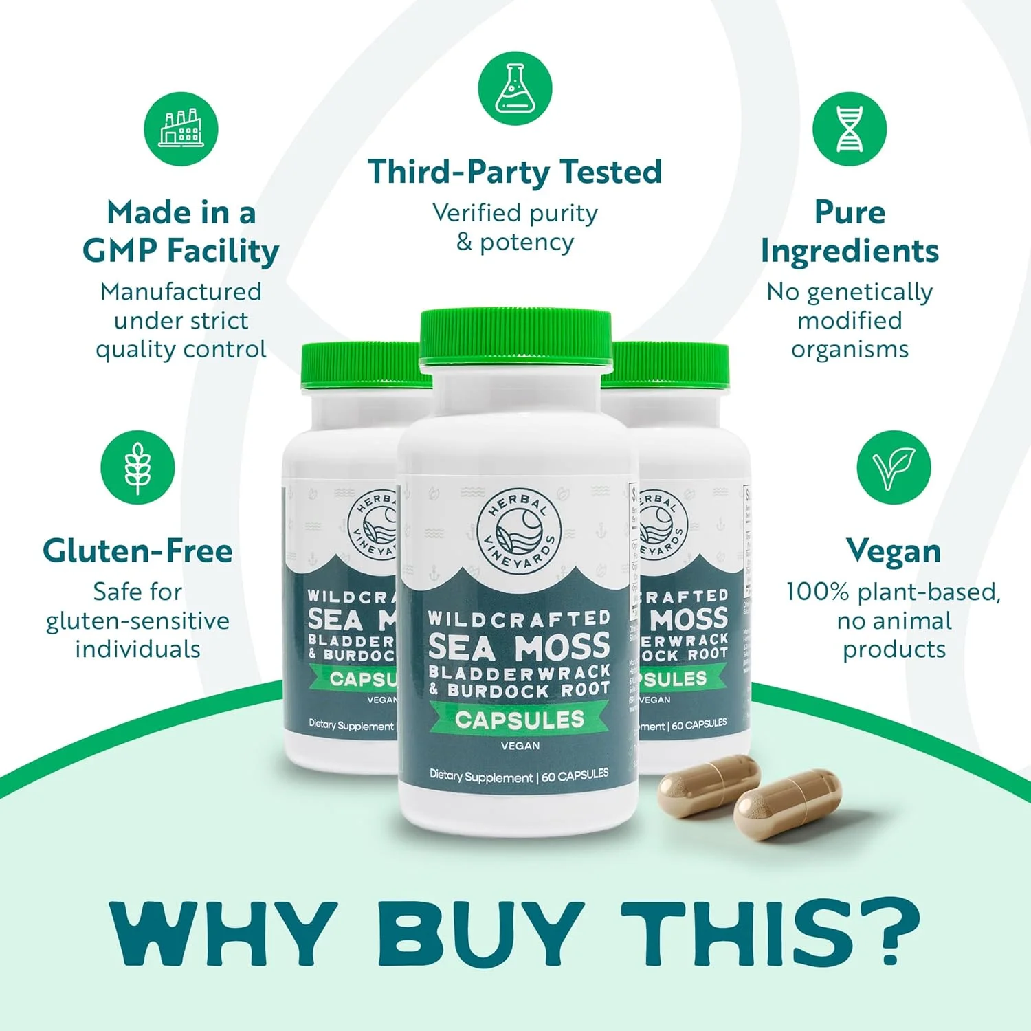 کپسول سبزیجات ارگانیک و دستساز Herbal Vineyards، 60 عدد | 1500 میلیگرم | بستهی 1 عددی | حاوی خزه دریایی ایرلندی، فوکوس وزیکولوسوس و ریشه باباآدم، پشتیبانی از سیستم ایمنی، پوست سالم و انرژی | تقویتکننده قوی ایمنی کپسول سبزیجات ارگانیک و دستساز Herbal Vineyards، 60 عدد | 1500 میلیگرم | بستهی 1 عددی | حاوی خزه دریایی ایرلندی، فوکوس وزیکولوسوس و ریشه باباآدم، پشتیبانی از سیستم ایمنی، پوست سالم و انرژی | تقویتکننده قوی ایمنی