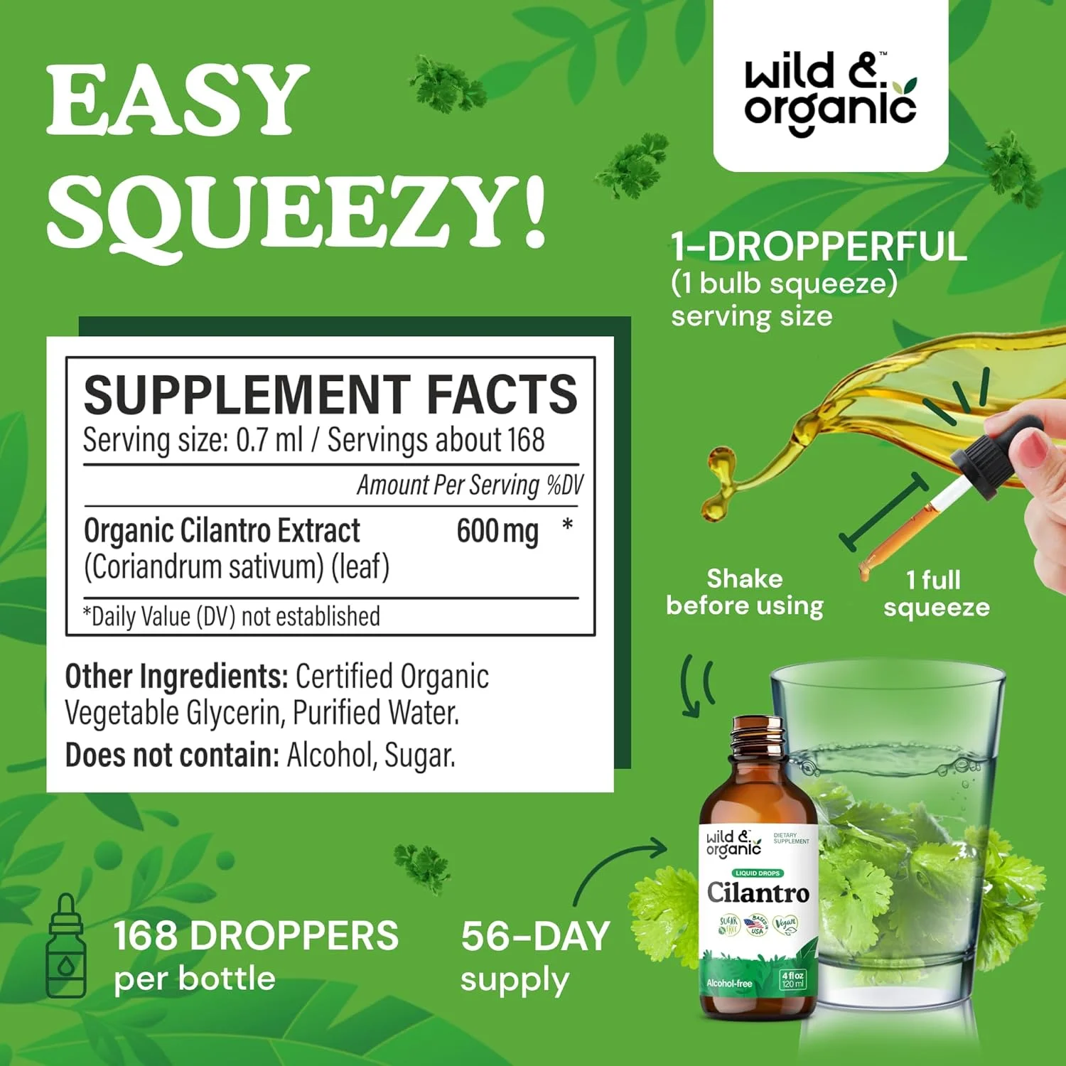 عصاره گشنیز وحشی و ارگانیک - قطره های سم زدای گیاهی با عصاره گشنیز - مکمل مایع برگ گشنیز - قطره های وگان، بدون شکر و الکل - 120 میلی لیتر