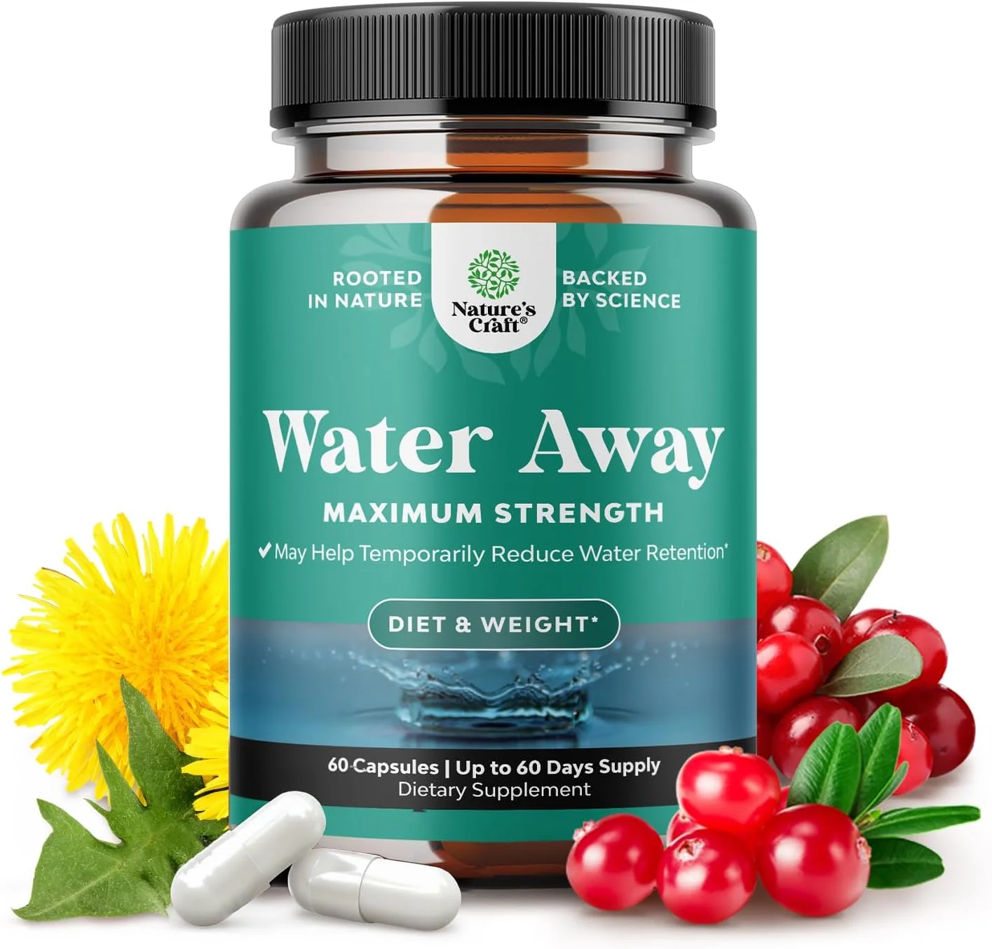 قرص های ادرارآور گیاهی قوی - مکمل احتباس مایعات حاوی عصاره برگ قاصدک و چای سبز برای رفع نفخ در زنان و مردان - کپسول برای تورم پا و مچ پا - 60 عدد قرص های ادرارآور گیاهی قوی - مکمل احتباس مایعات حاوی عصاره برگ قاصدک و چای سبز برای رفع نفخ در زنان و مردان - کپسول برای تورم پا و مچ پا - 60 عدد