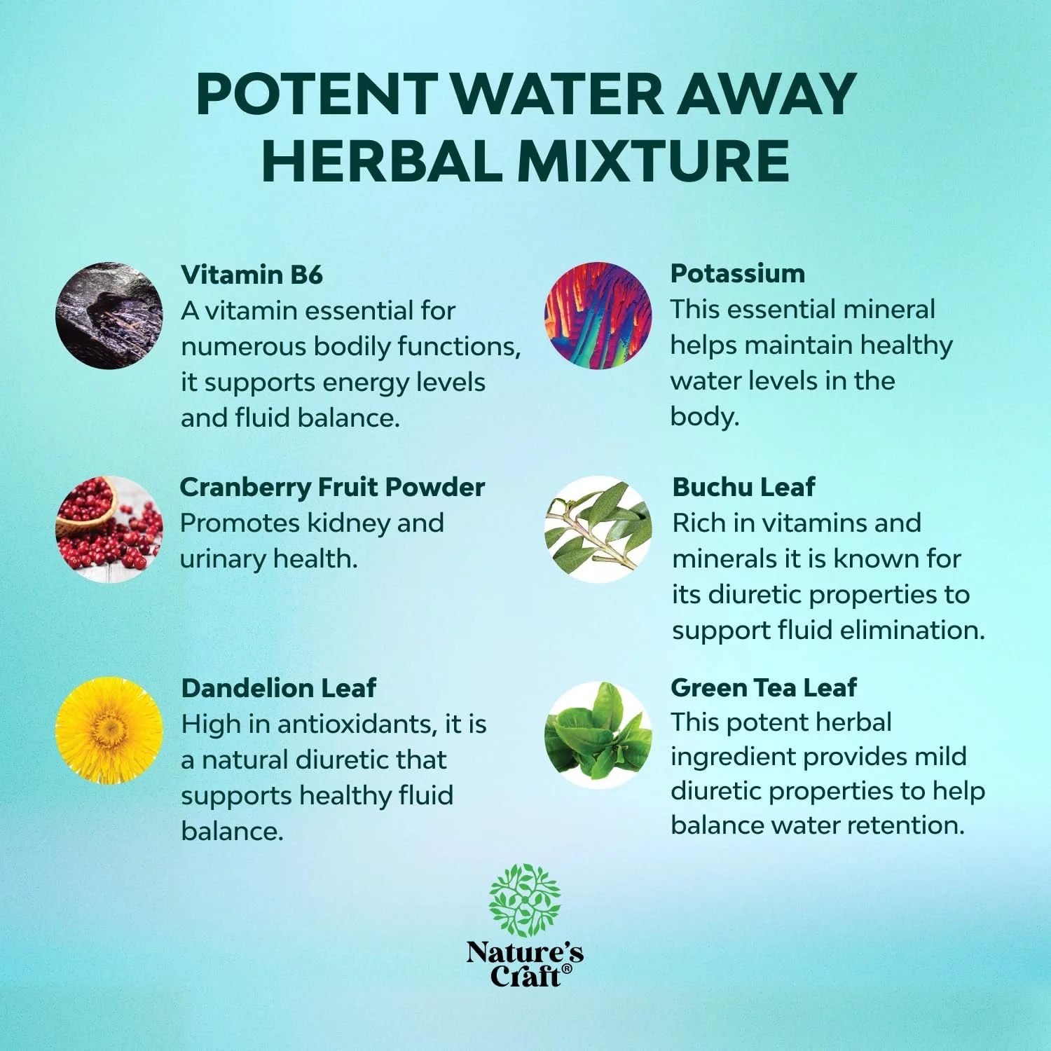 قرص های ادرارآور گیاهی قوی - مکمل احتباس مایعات حاوی عصاره برگ قاصدک و چای سبز برای رفع نفخ در زنان و مردان - کپسول برای تورم پا و مچ پا - 60 عدد