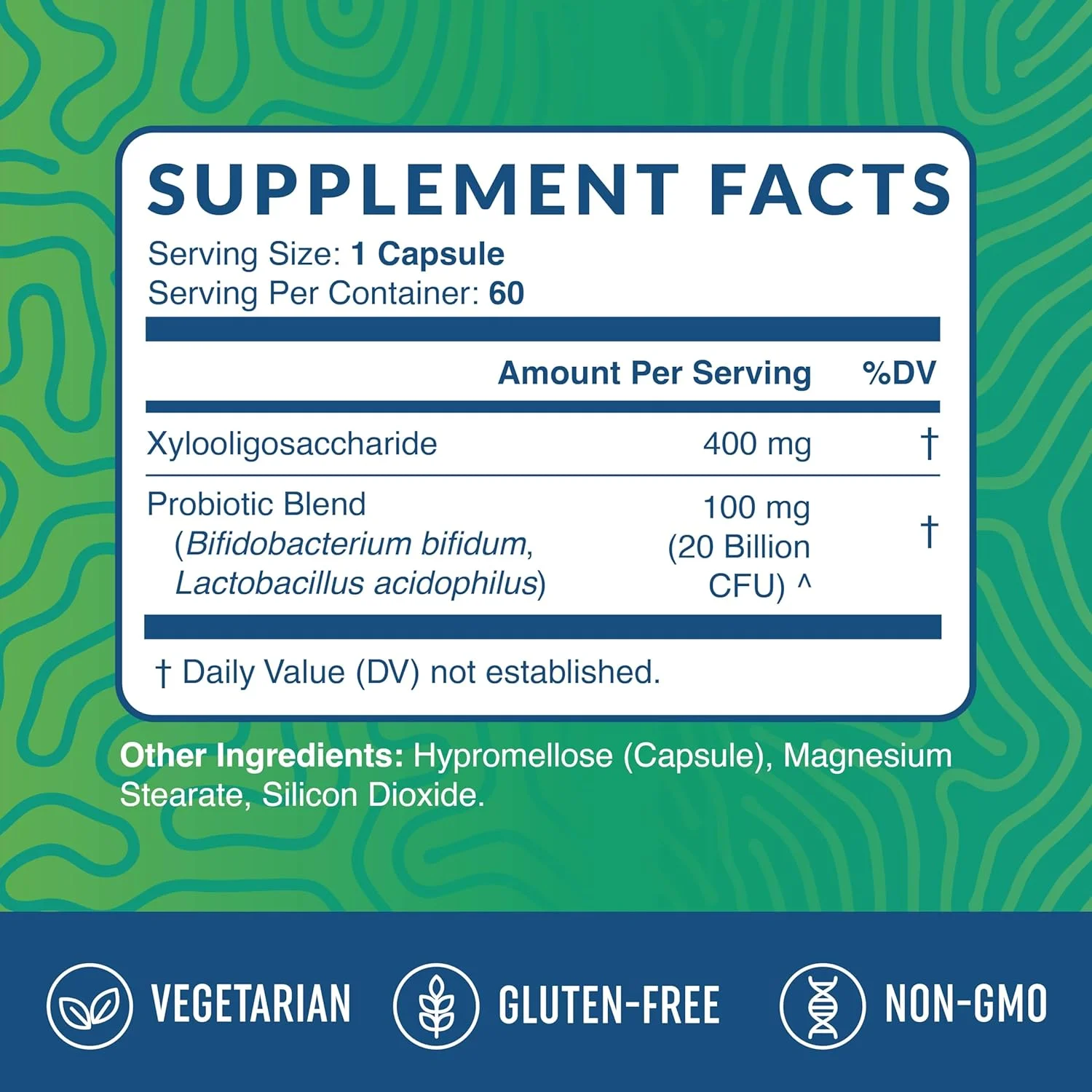 کپسول های چربی سوز شبانه و کپسول های پروبیوتیک و پری بیوتیک | تقویت کننده متابولیسم در طول شب برای پشتیبانی از سلامت روده و سوزاندن چربی شکم | سلامتی کامل دستگاه گوارش