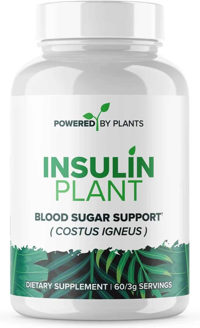کپسول های گیاه اینسولین - 3000 میلی گرم پودر برگ کاکتوس ایگنیوس بدون مواد چسبنده، پرکننده و گلوتن - مکمل های گیاهی، غیر GMO برای زنان و مردان توسط Powered X Plants، 240 کپسول