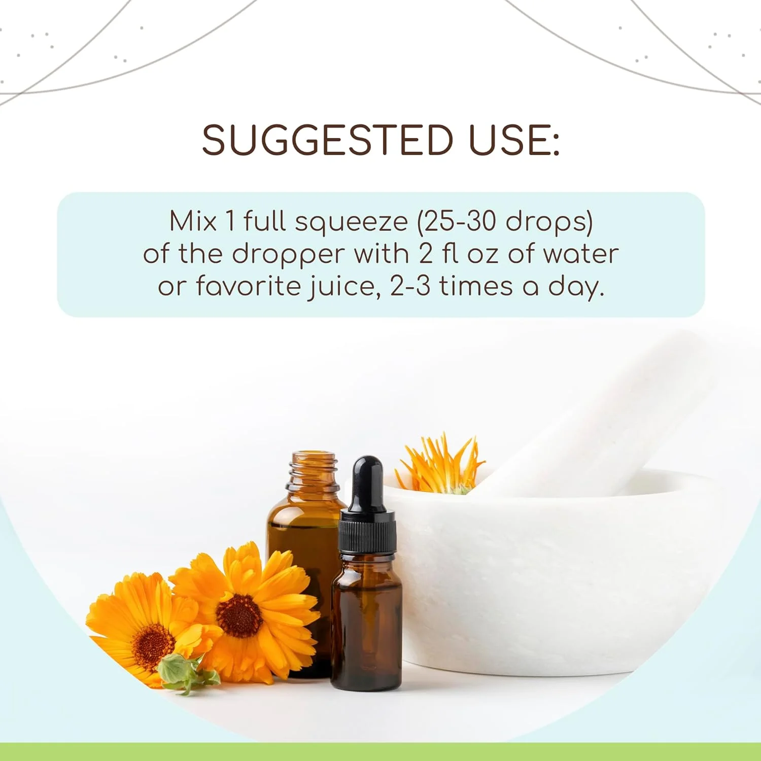 عصاره ارگانیک گل بامیه HerbEra B120 | عصاره بدون الکل، قطره های گیاهی قوی | گل خشک بامیه (118 میلی لیتر)